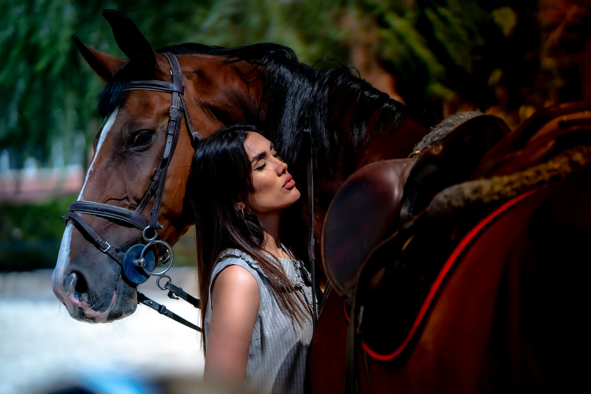PARTENAIRES - ANNUAIRE DES PROS DU CHIEN ET DU CHEVAL PRES D'ANNECY