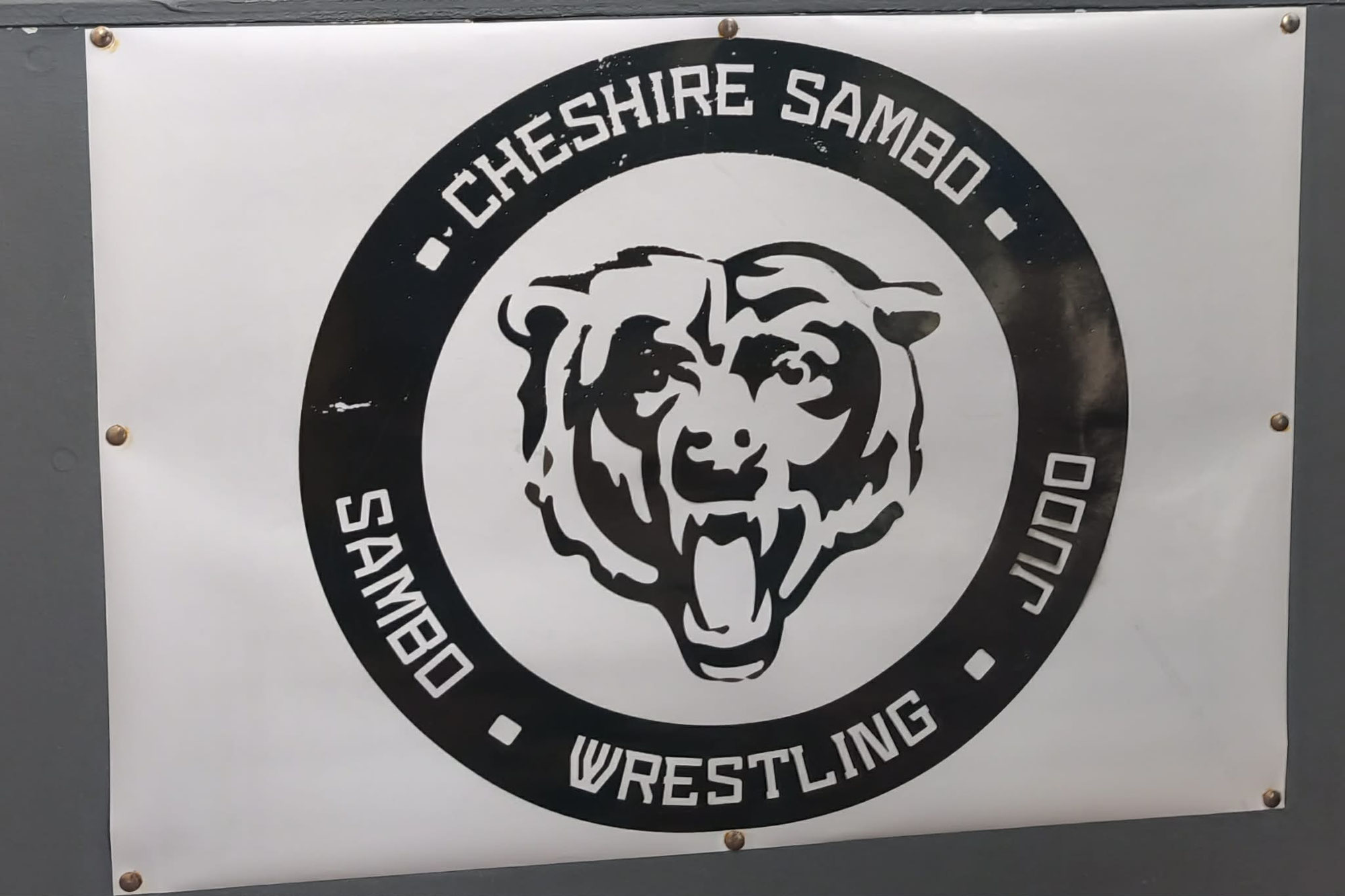 Sambo Training mit Georgi Georgiev in Cheshire
