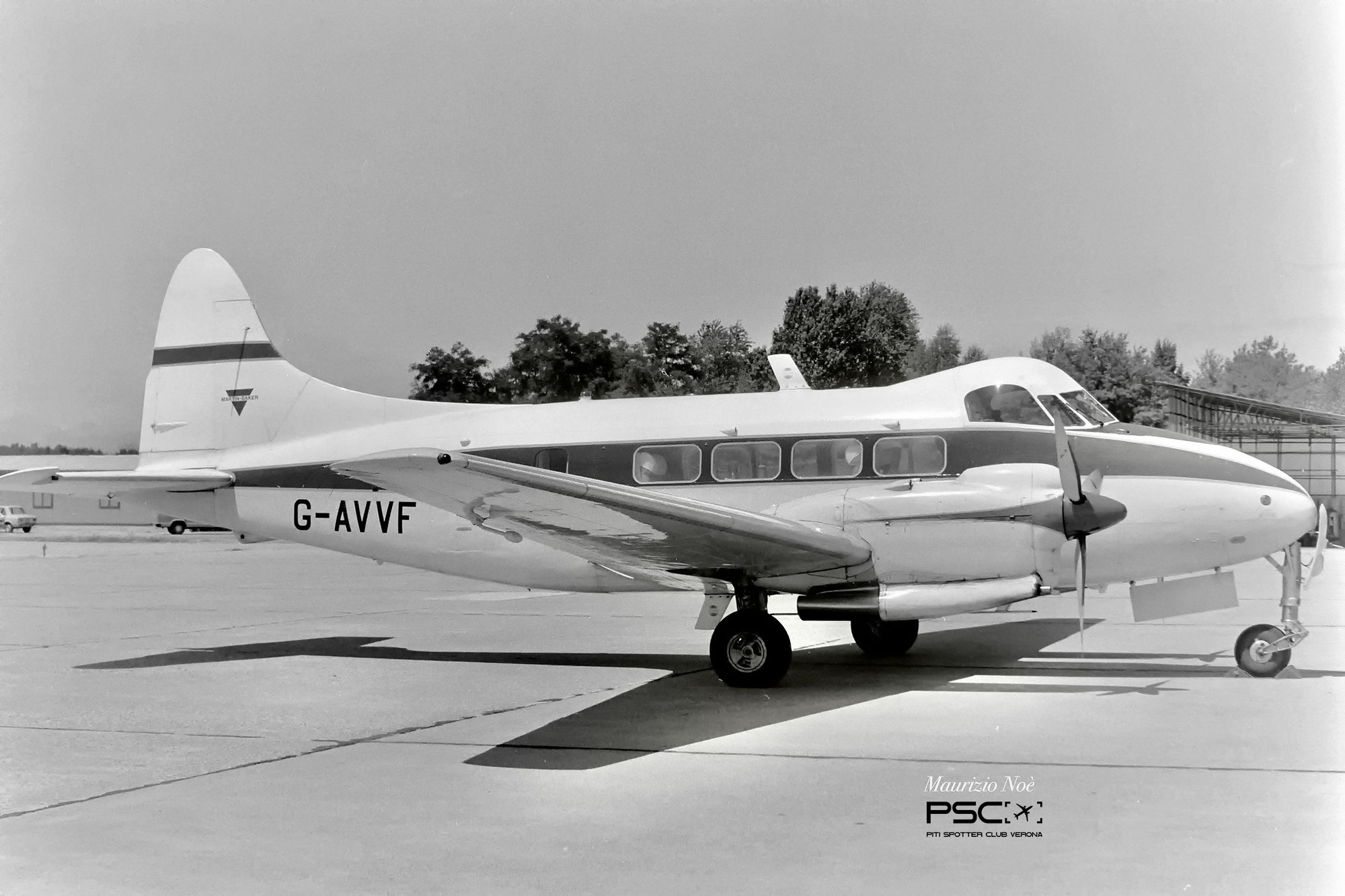 Collezione Noè: Il De Havilland DH.104 Dove: L'Eleganza del Volo Post-Bellico