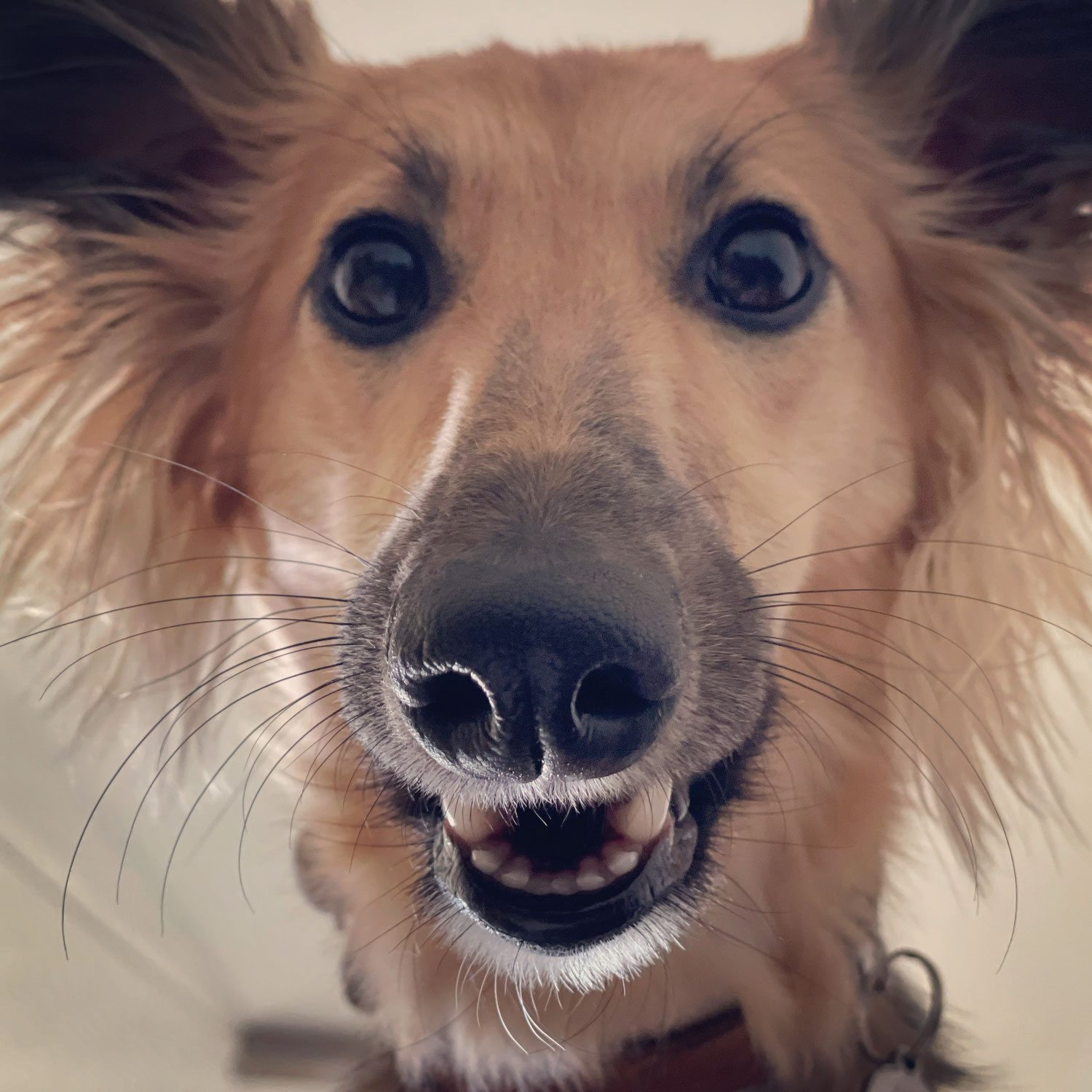 Glück und Lebensgefühl