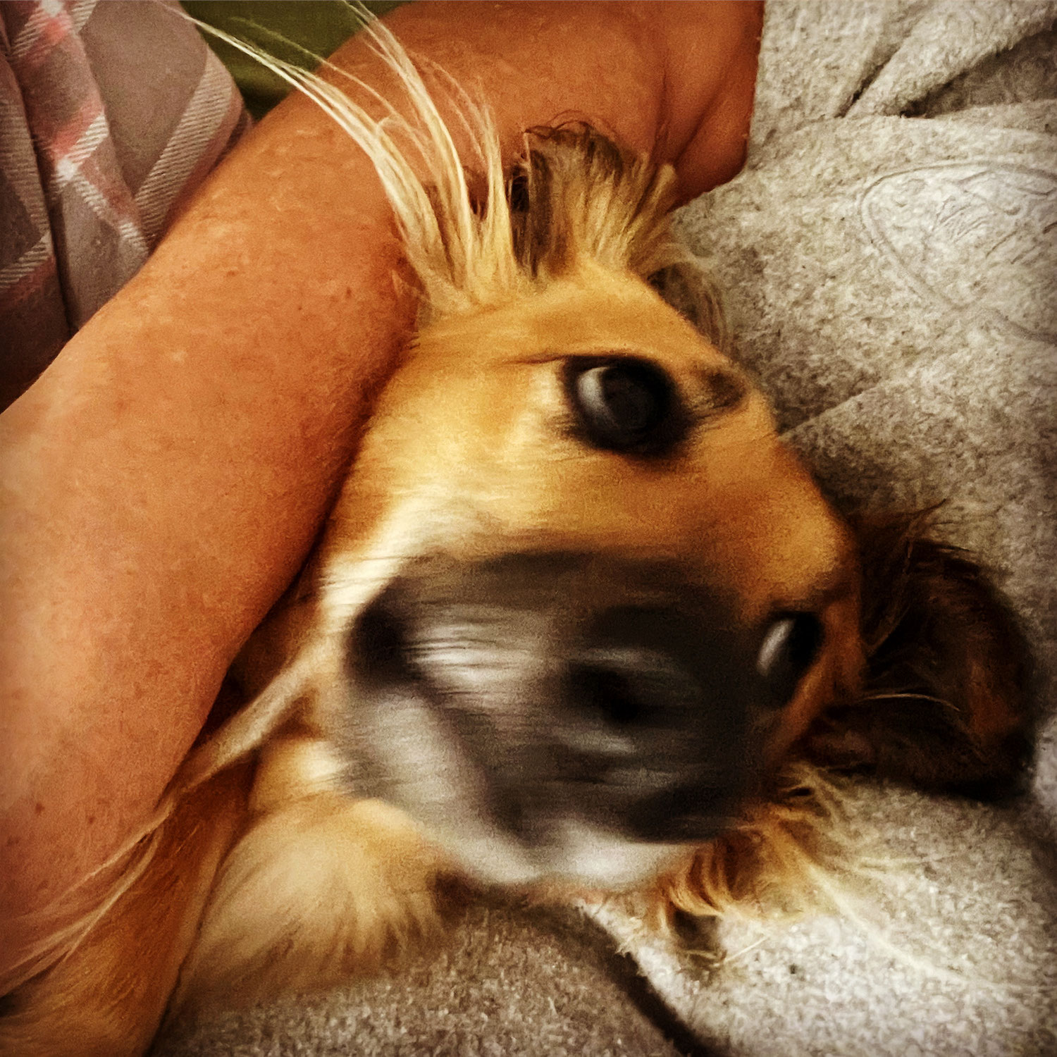 Gedanken zum Jahreswechsel 2022/2023