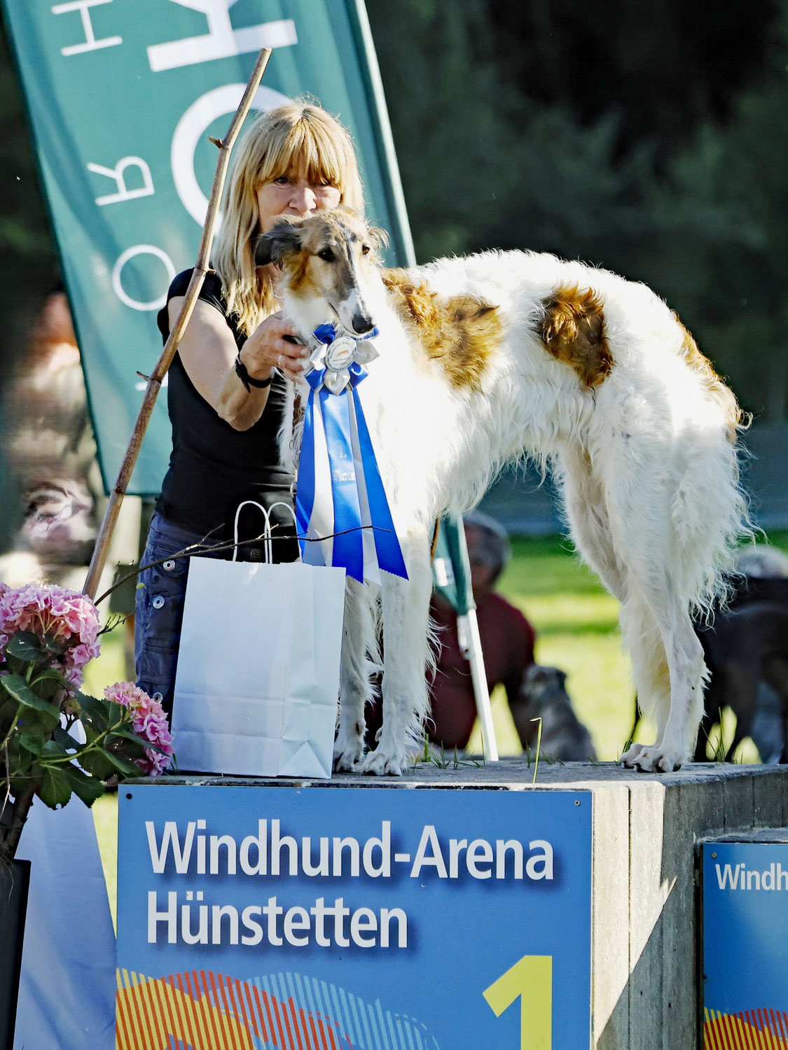 2. DWZRV-Siegerausstellung, 2. DWZRV Siegerrennen 20./21.07.24 Windhundarena Hünstetten