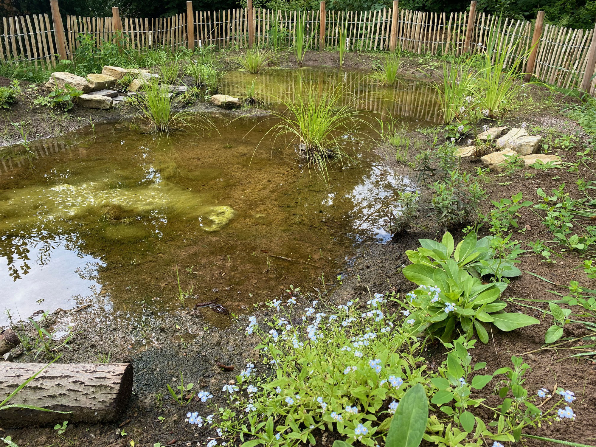 Neue Biotope im NABU-Garten