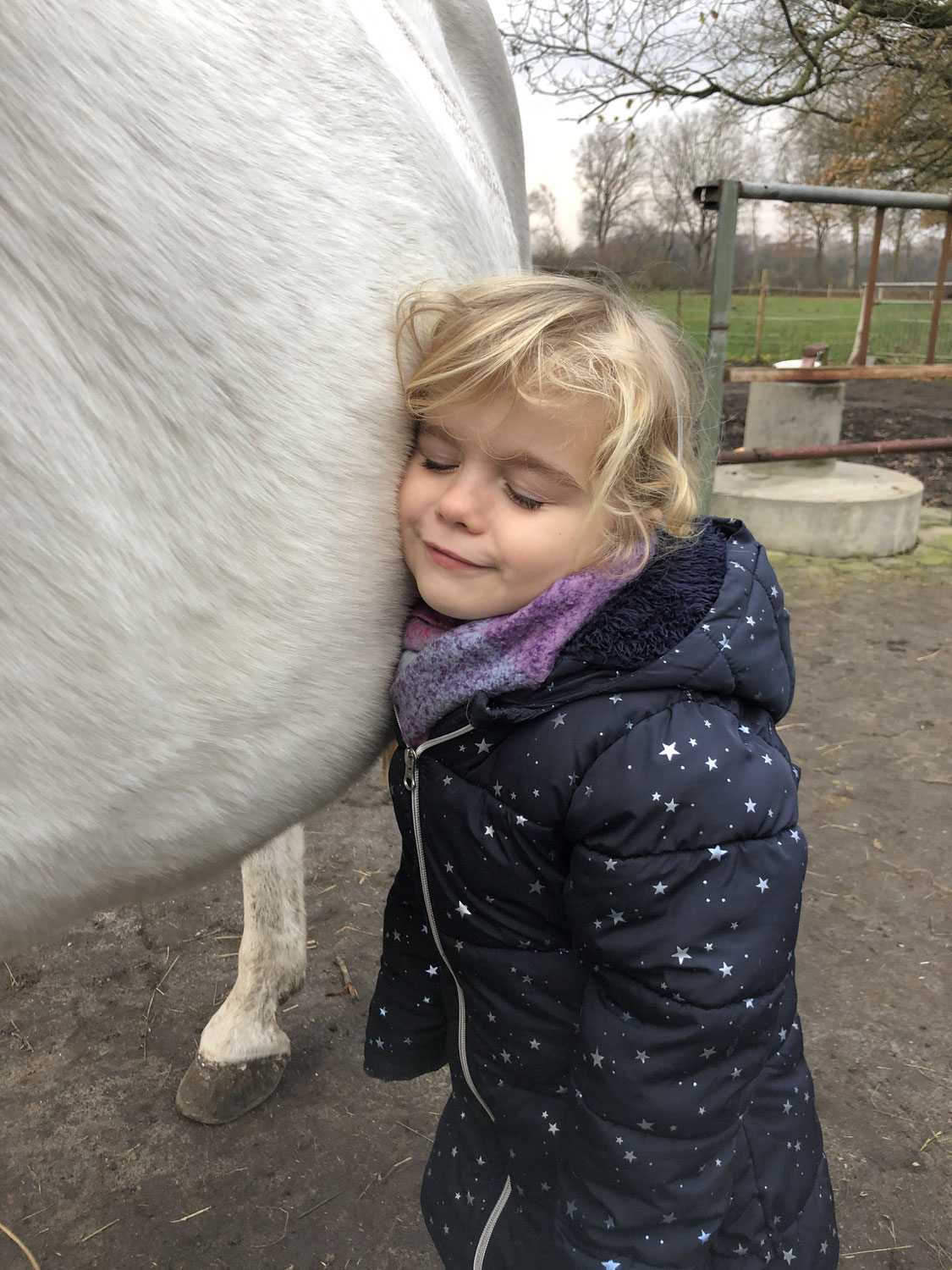Reittherapie