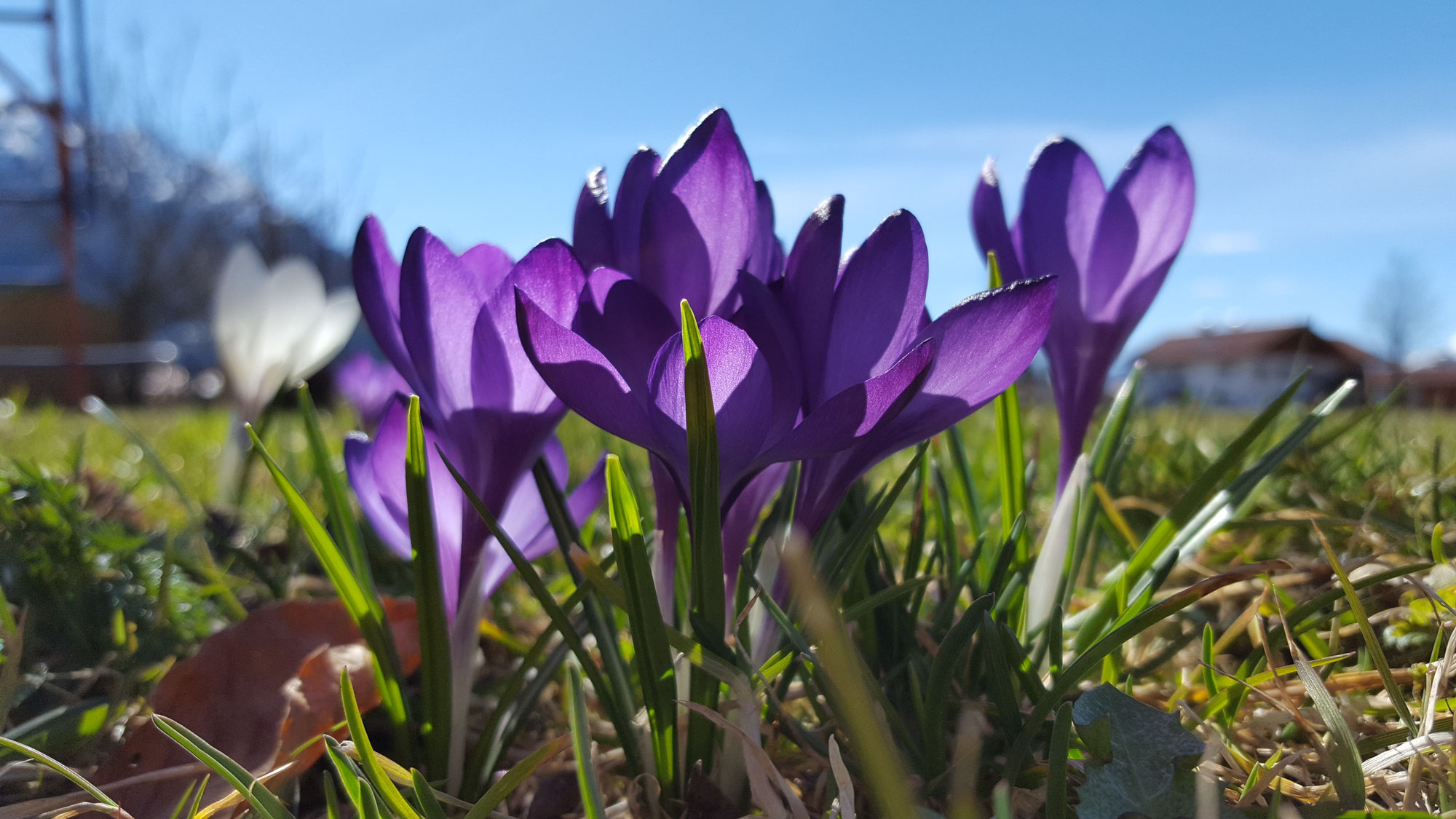Frühling