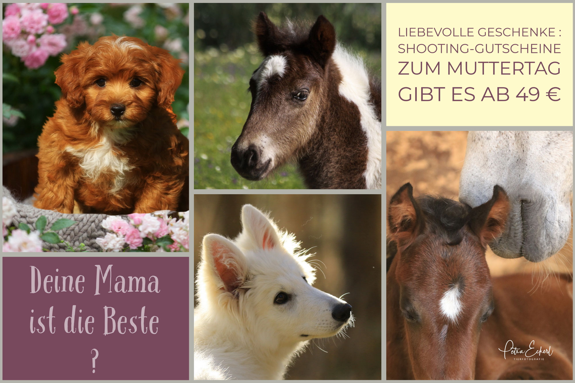 Deine Mama ist die Beste?