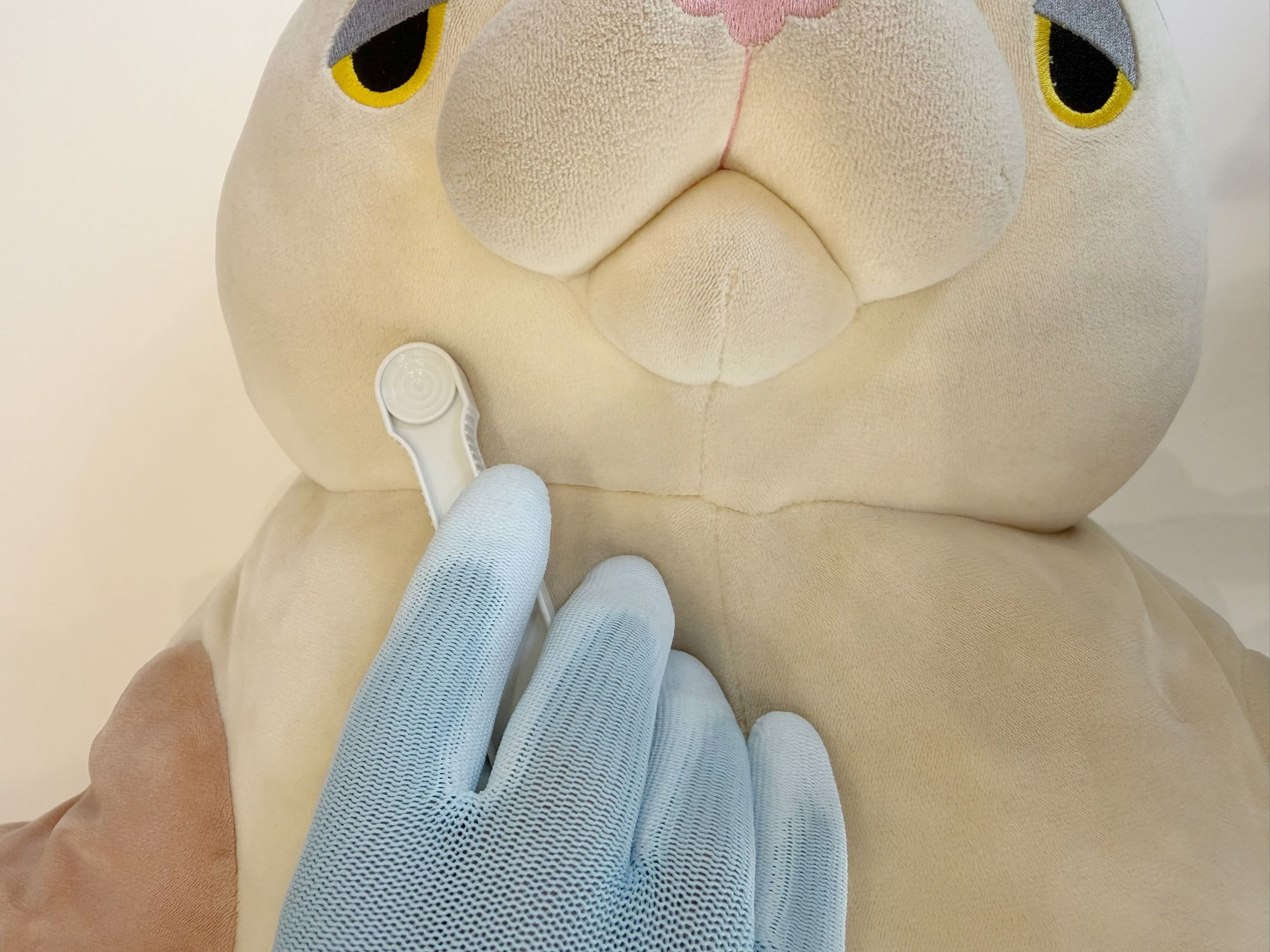 もちねこちゃん、最後に洗ったのはいつですか？