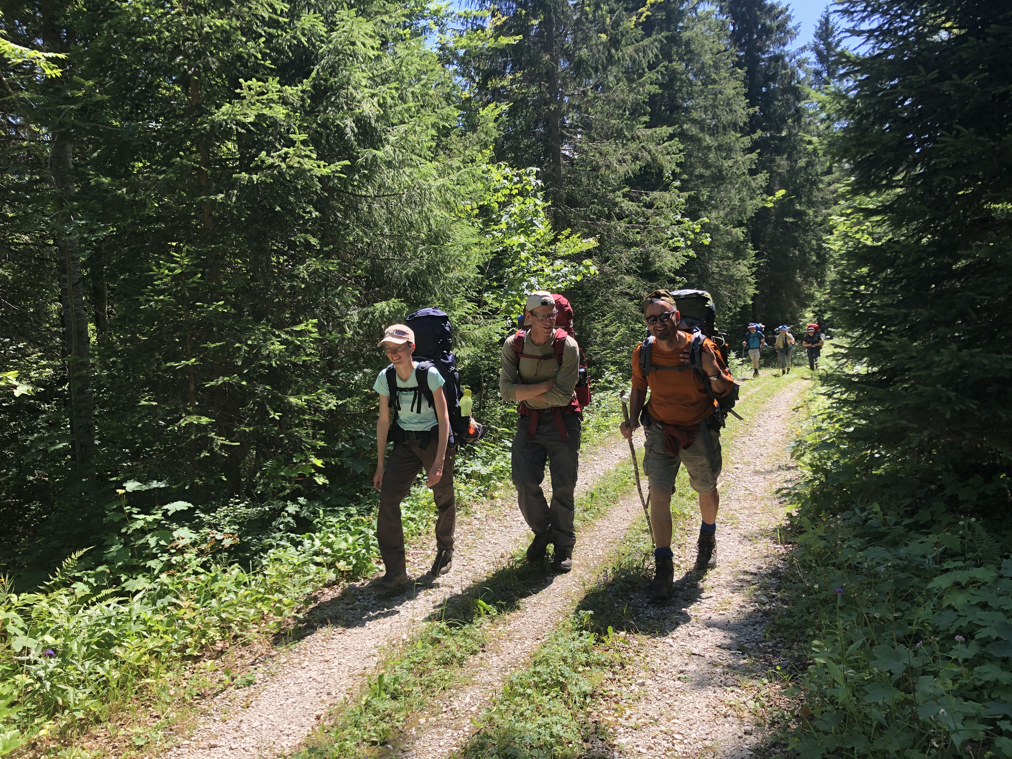 Week-end CNV en forêt, en lien avec soi et la nature