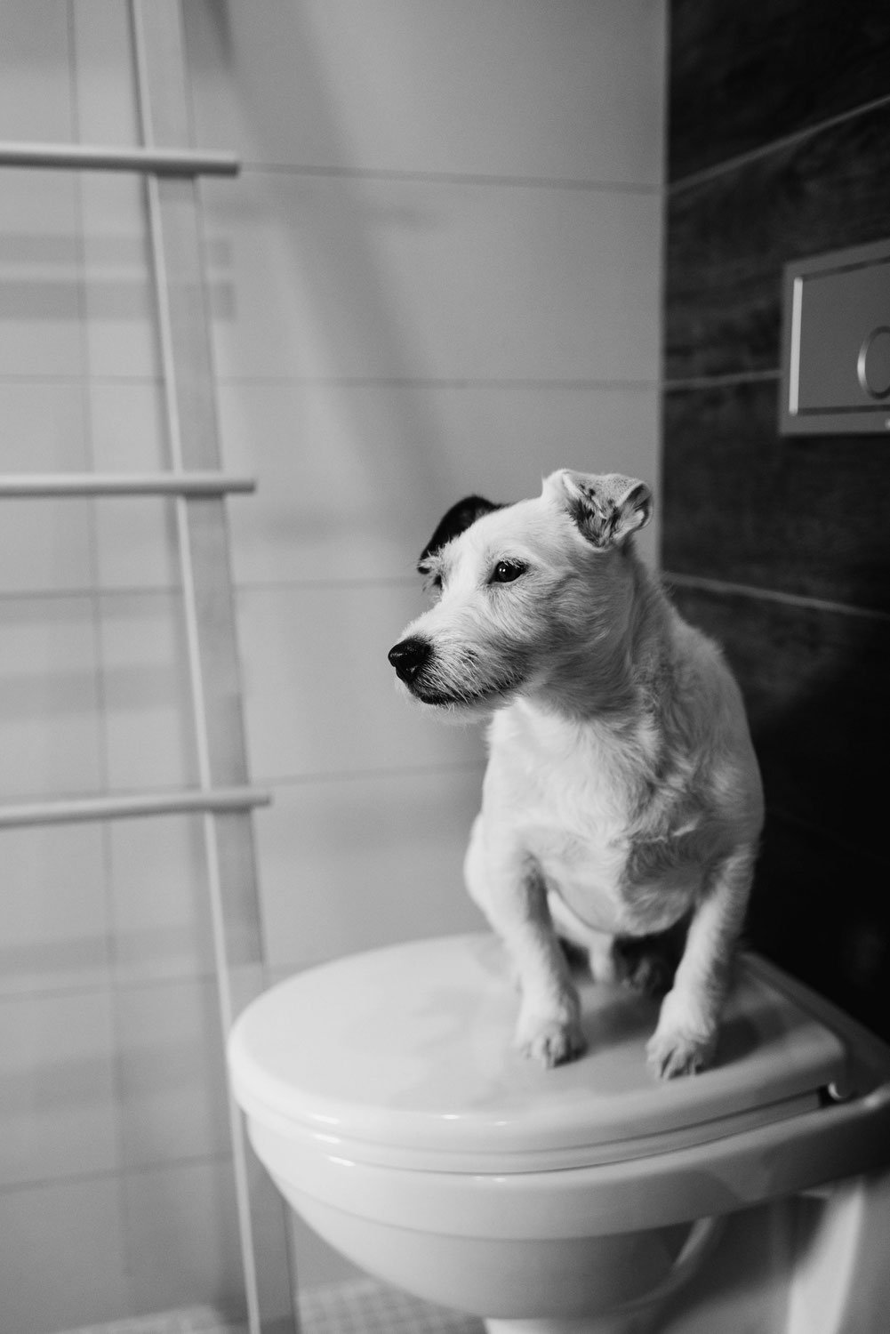 Renovating Your Bathroom for Under $10,000: A Comprehensive Guide for Baulkham Hills Residents