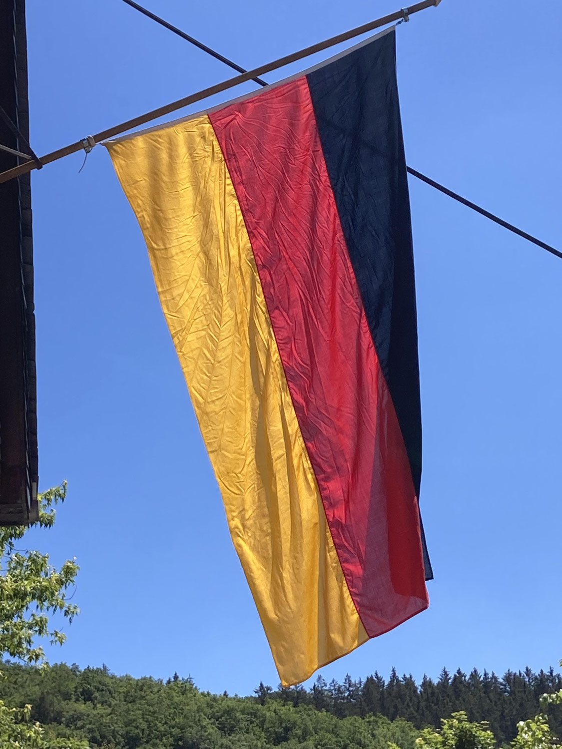 Europa- und Kommunalwahlen 9.6.24