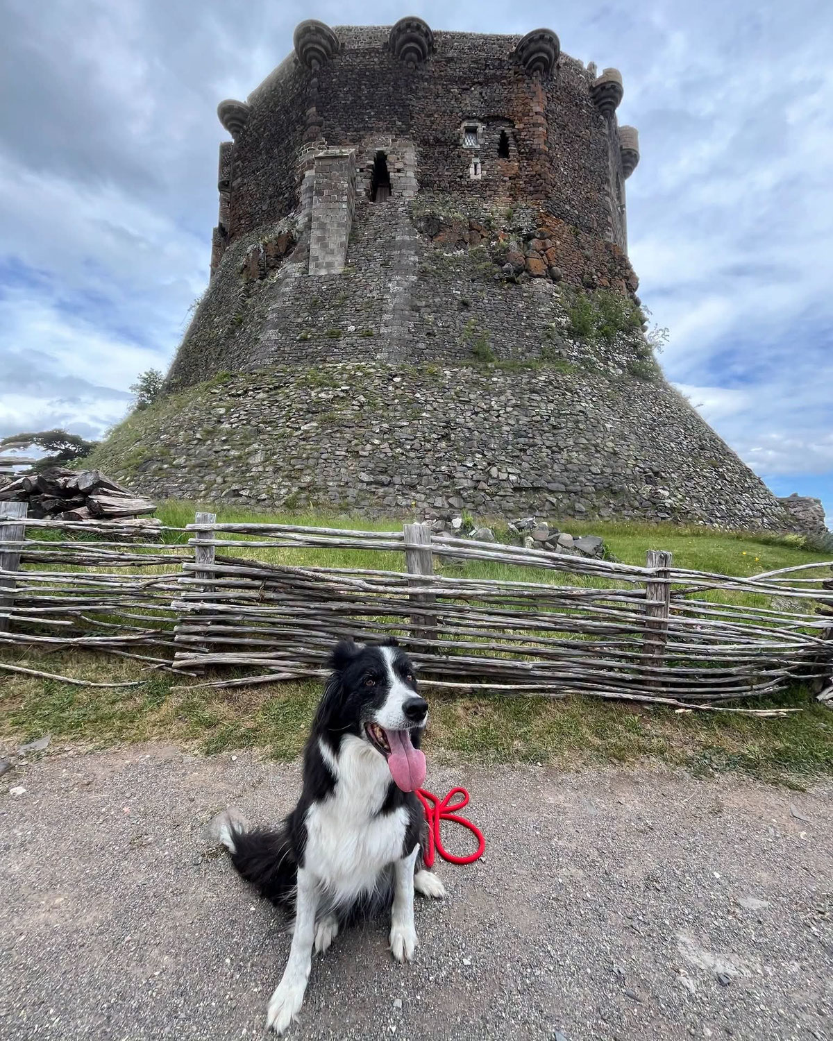 Le château de Murol : une forteresse médiévale où votre chien, tout petit ou vraiment grand est le bienvenu.