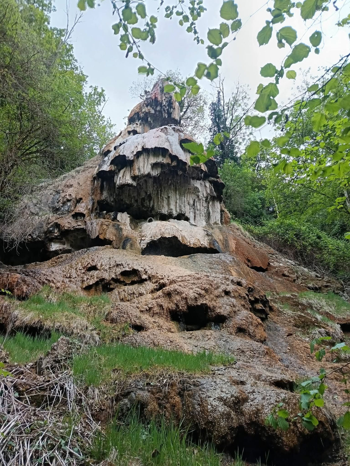 Sur la piste des lions d'Auvergne : balades insolites avec son chien