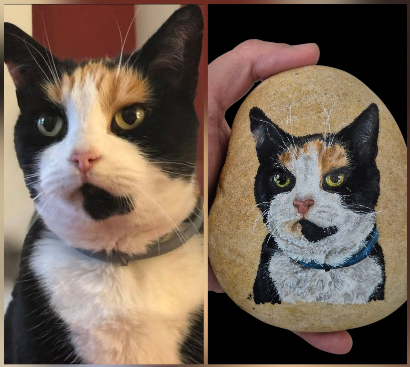 Caillasse et Gribouille, mon coup de coeur
