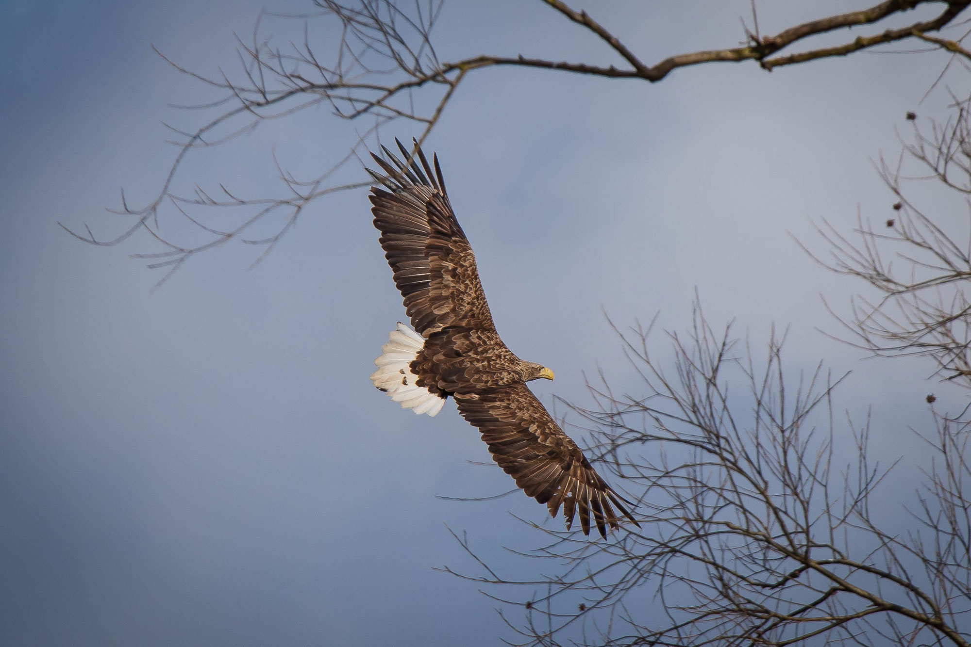 Naturfotografie Mecklenburg