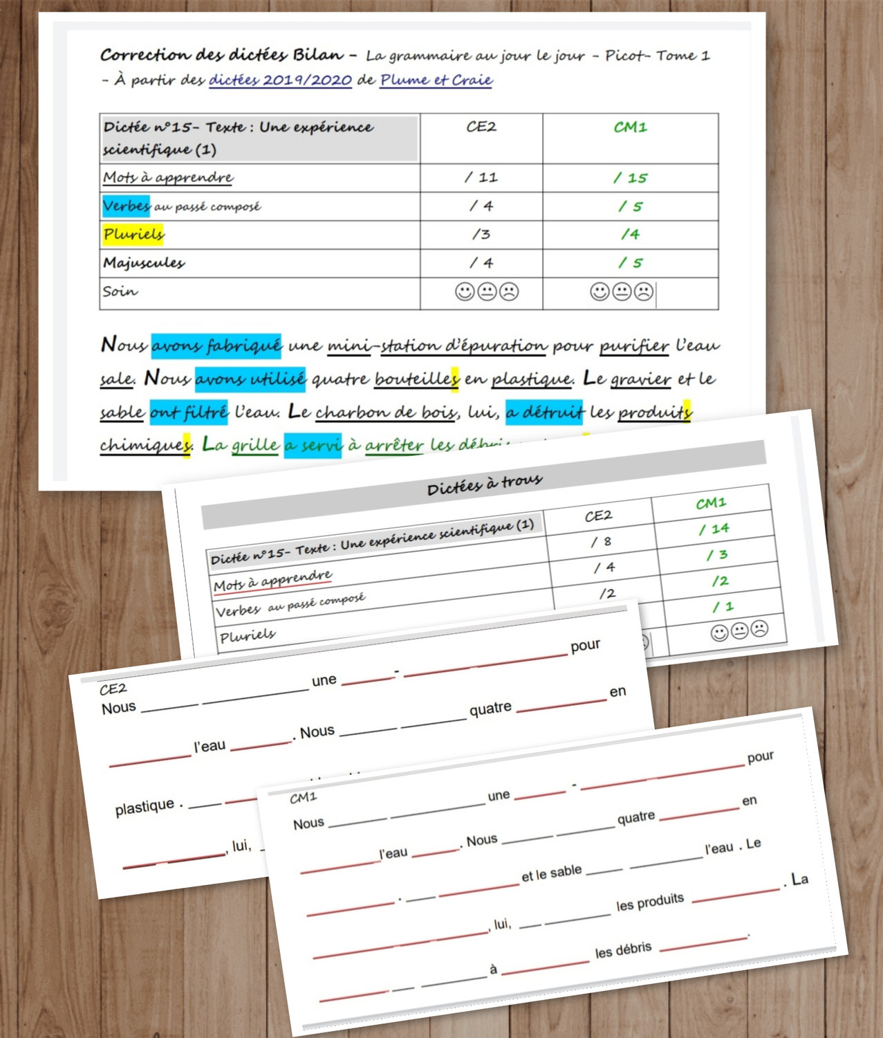 Dictée à trous + Outils de correction - Picot texte 16