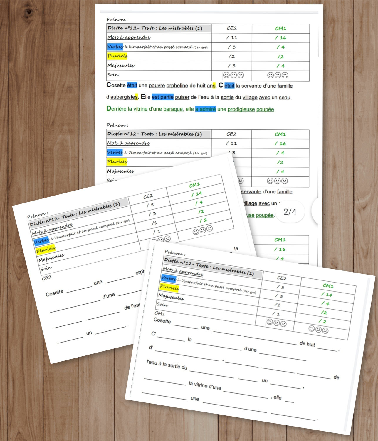 Dictée à trous + Outils de correction - Dictée Picot texte 13