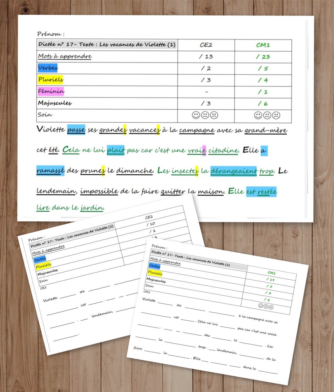 Dictée à trous + Outils de correction - Picot texte 18