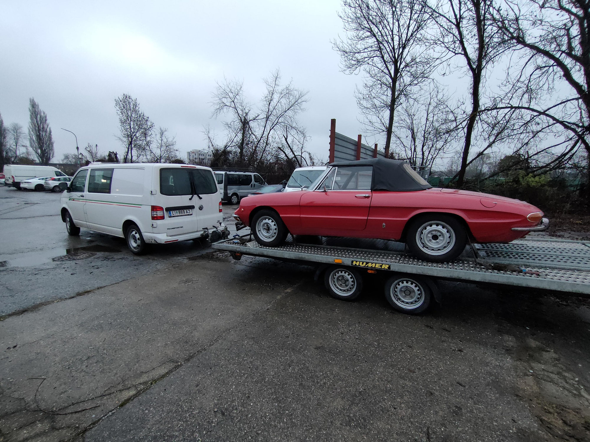 Alfa Spider Rundheck