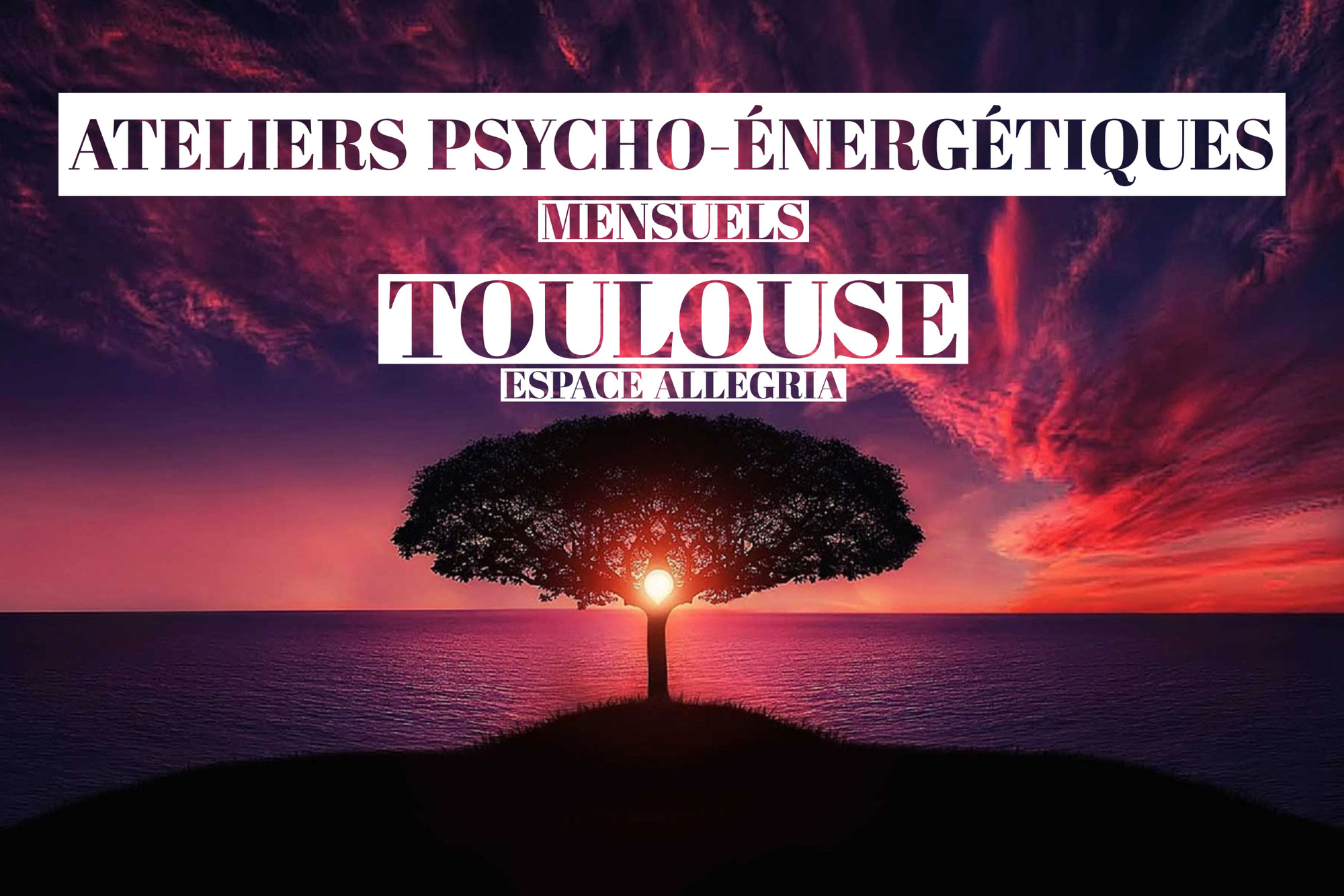 Ateliers mensuels 2020 Toulouse - Psycho-Énergétique et Développement Personnel -