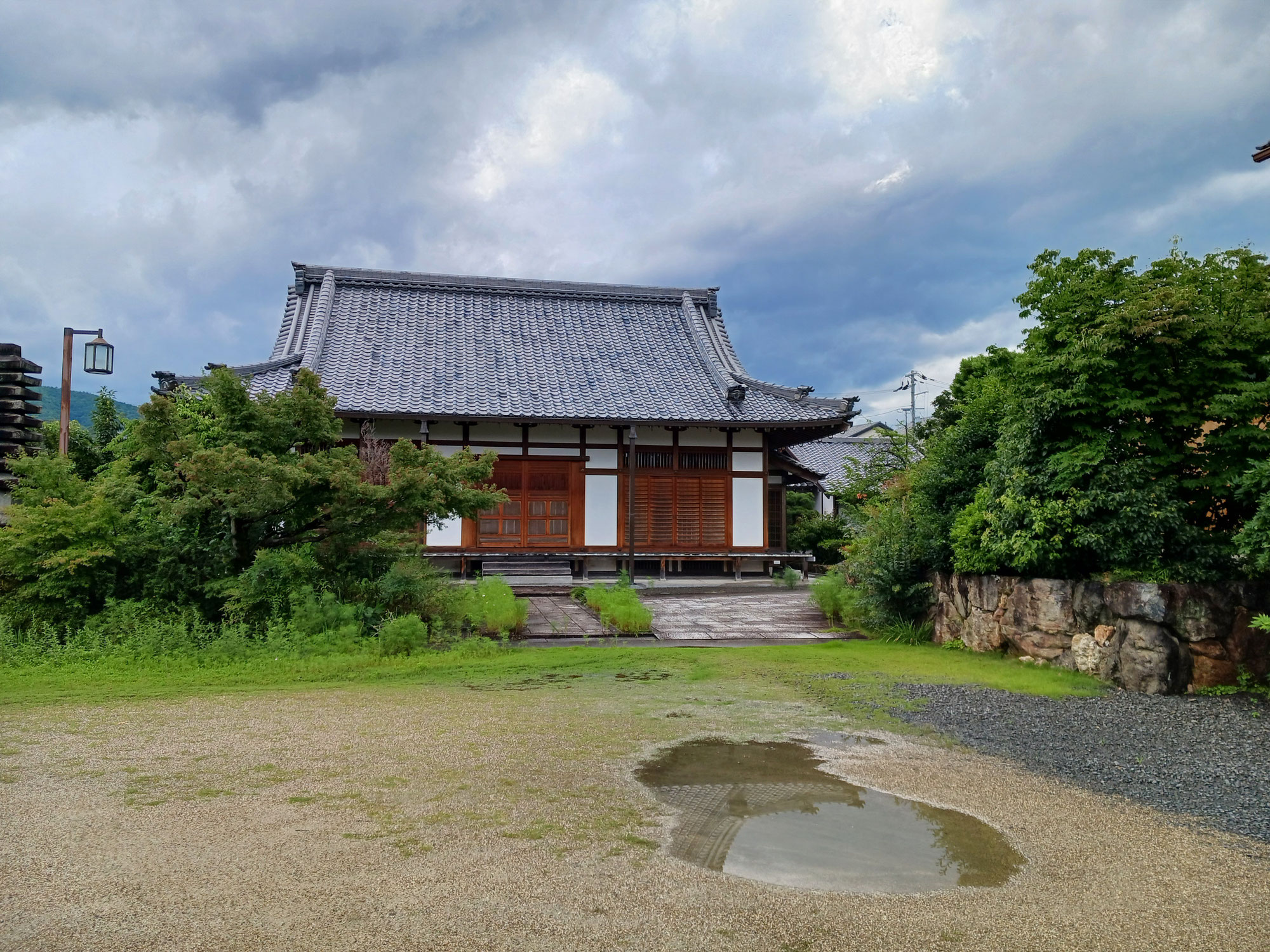 遍照寺様から七夕用の笹と竹を頂きました🎋