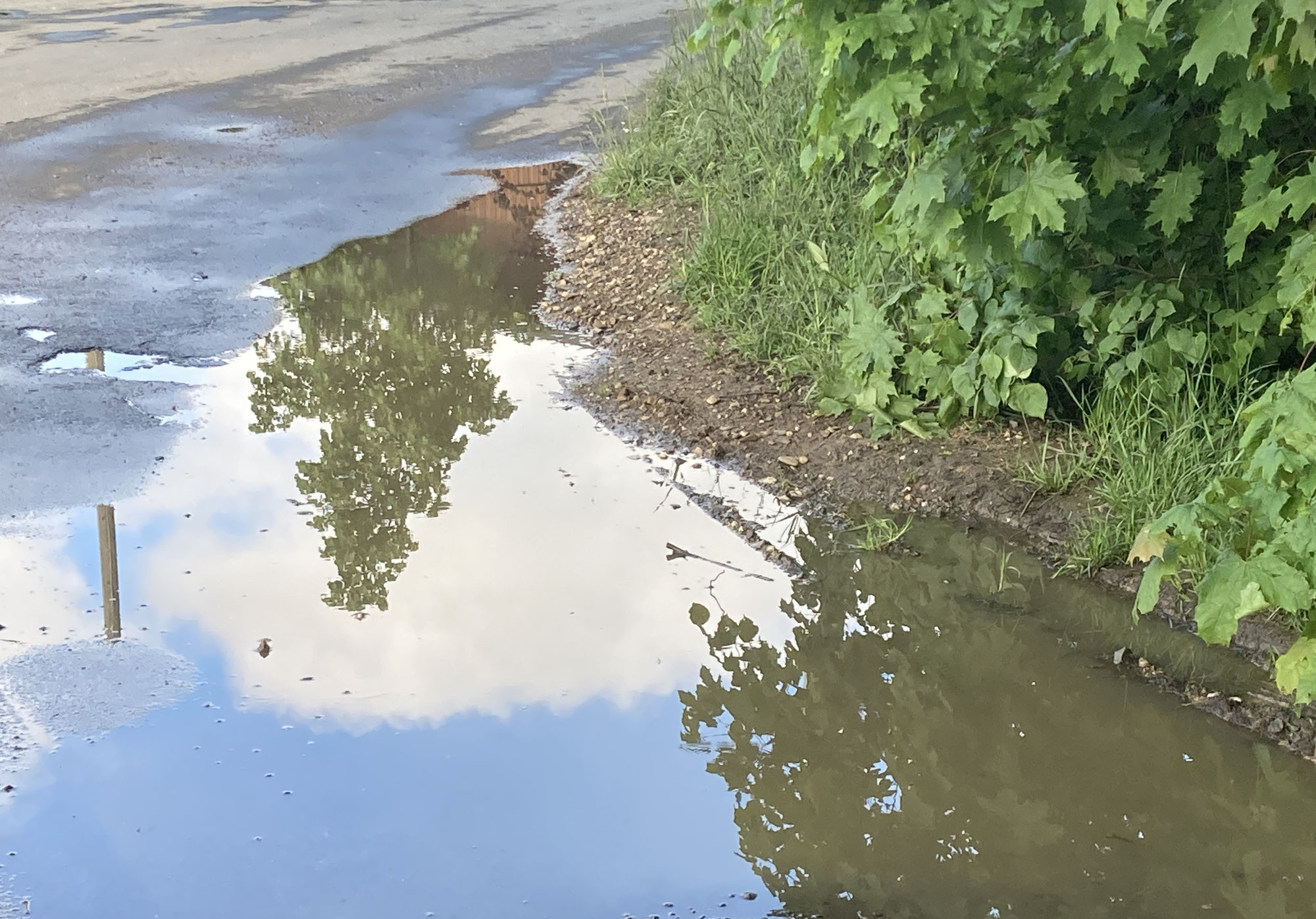 Wir müssen reden - über Regen