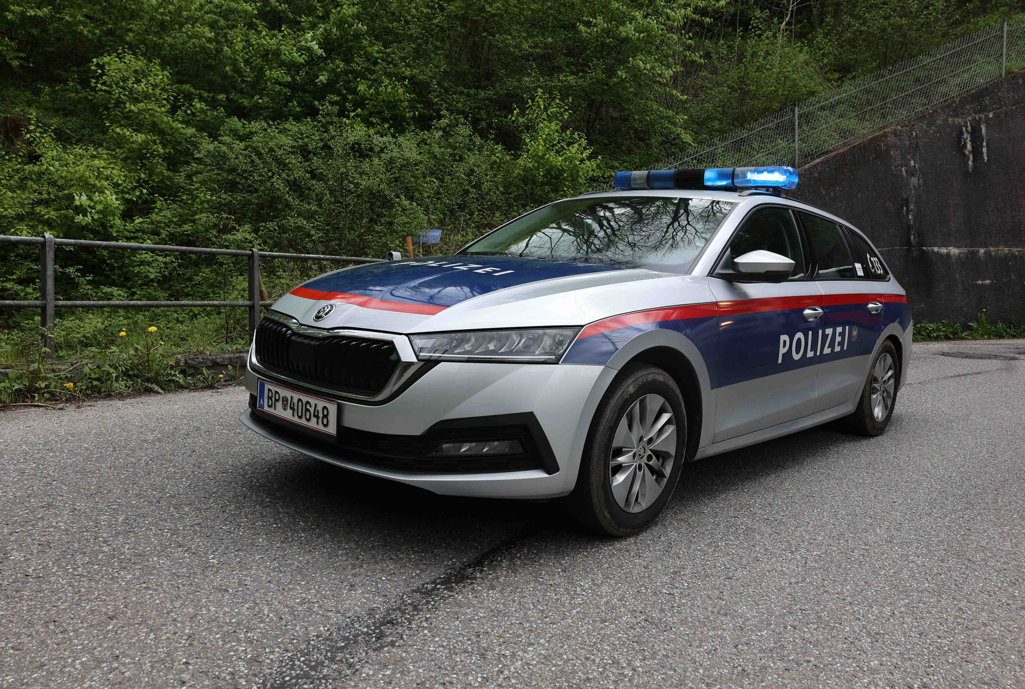 Kennzeichendiebe rasch erwischt