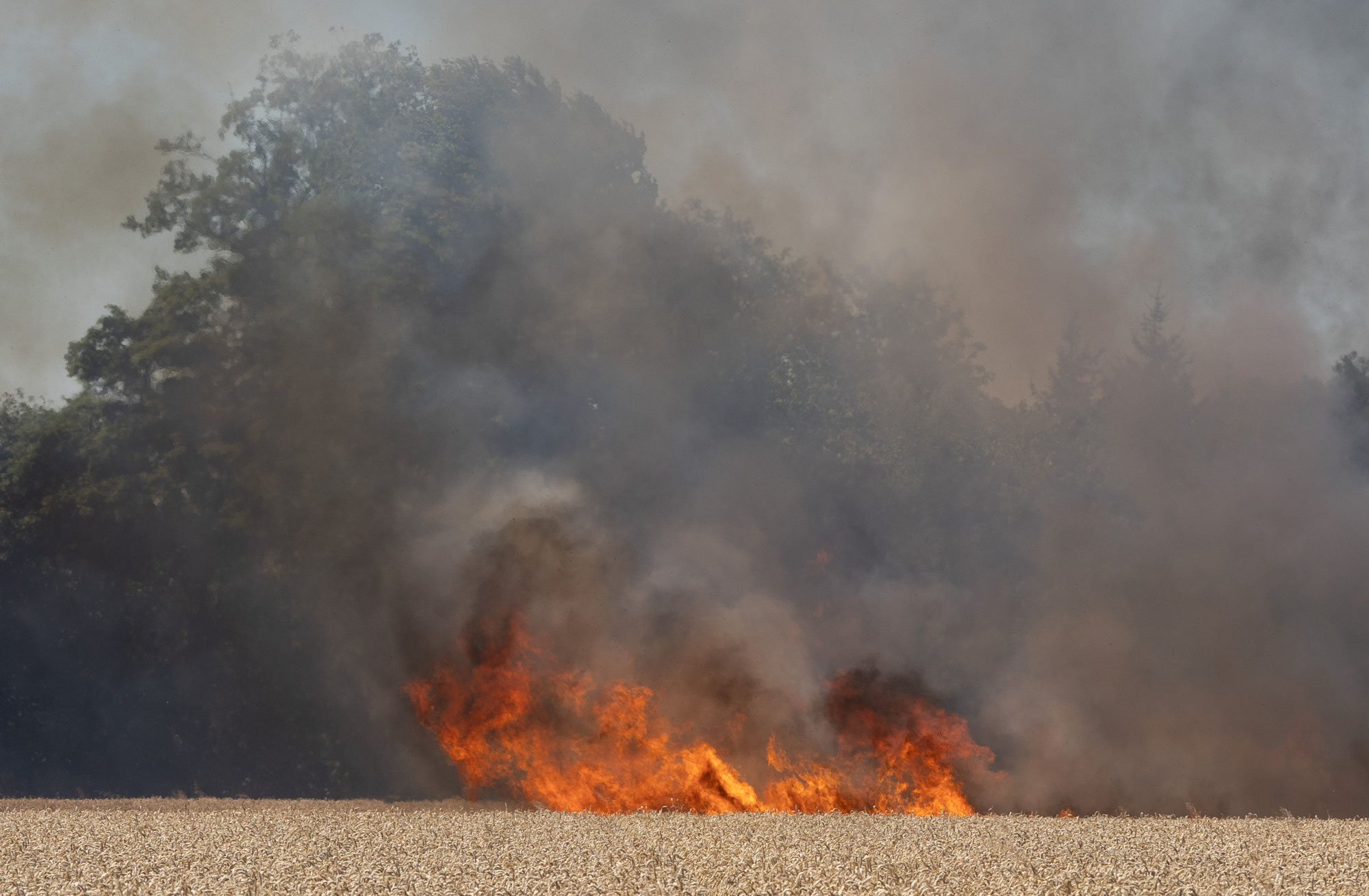 BRAND EINES GEDTREIDEFELDES IN RANSHOFEN