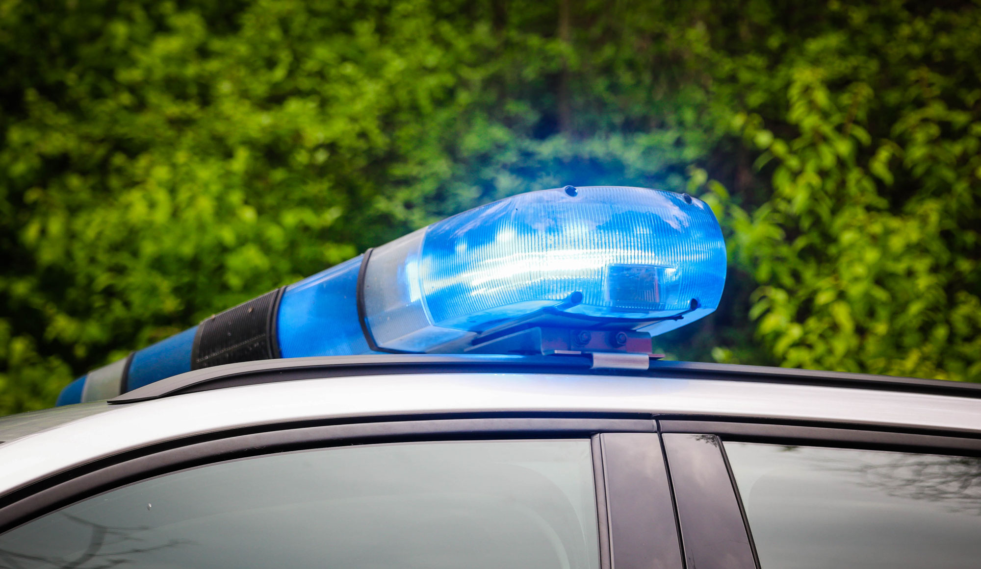 Pkw- und Einbruchsdieb festgenommen