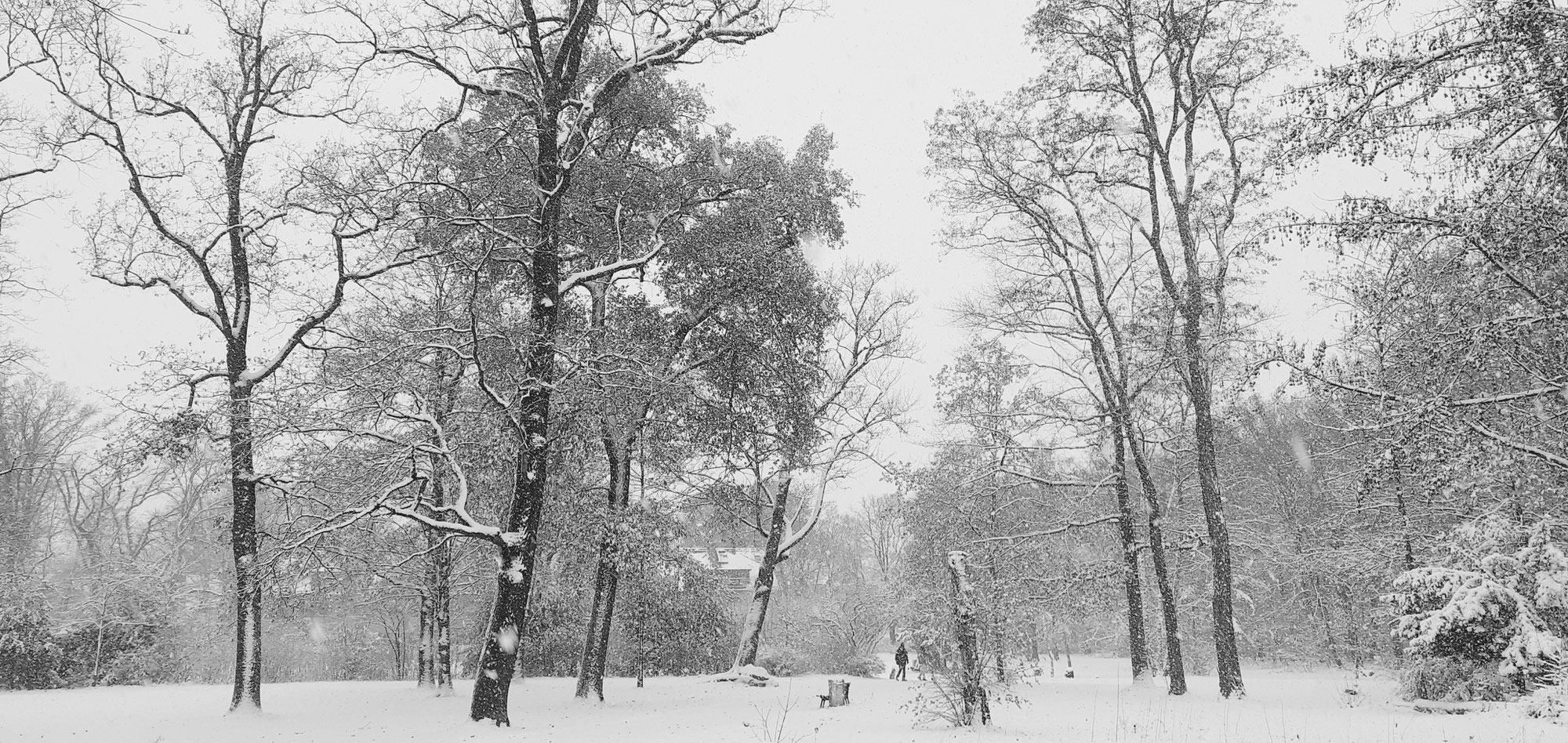 The Winter Effect
