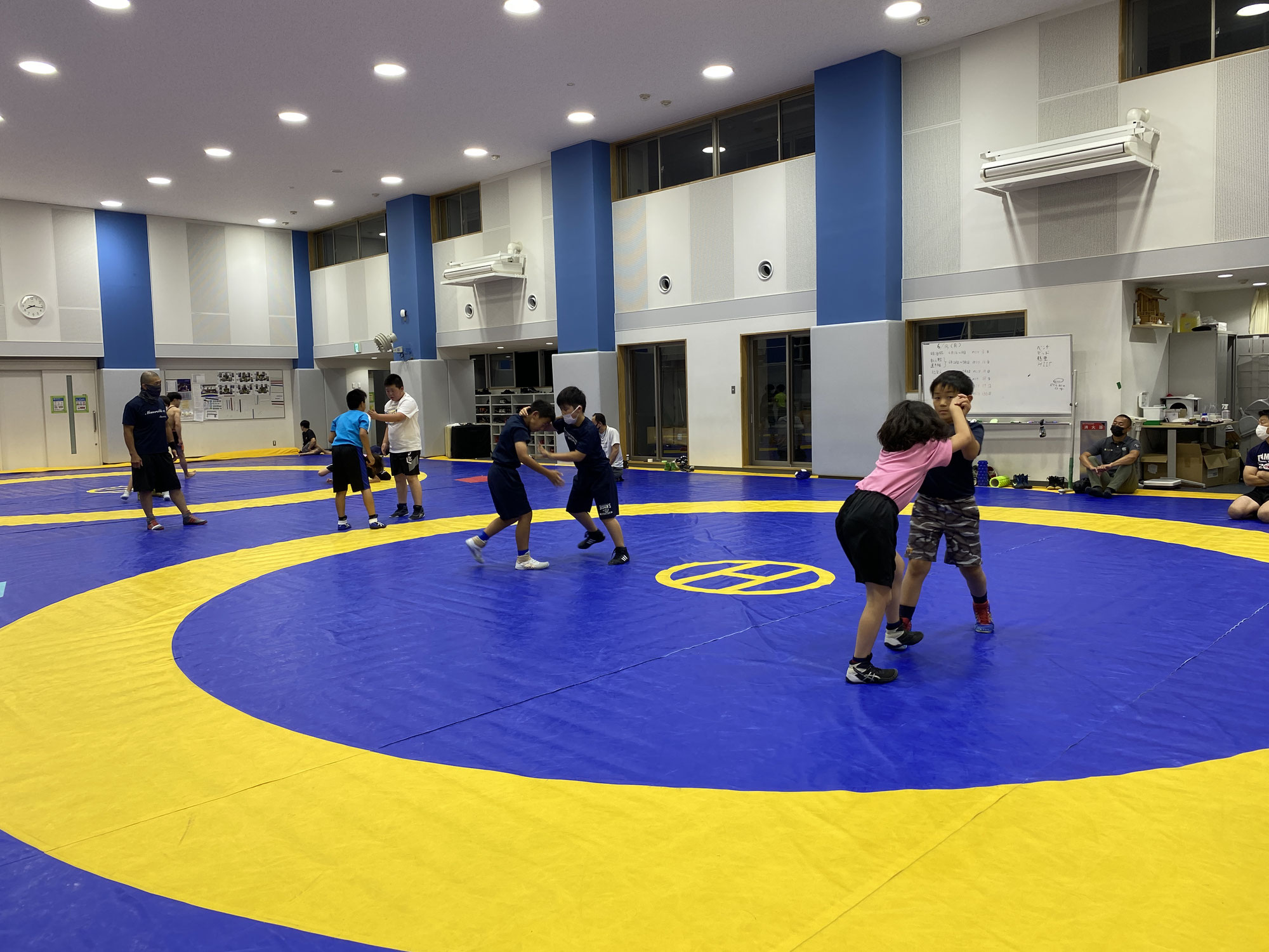 ■希少■最新レスリング教室 2022 - TEAM BISON'S by SENSHU UNIV/キッズ子供少年少女