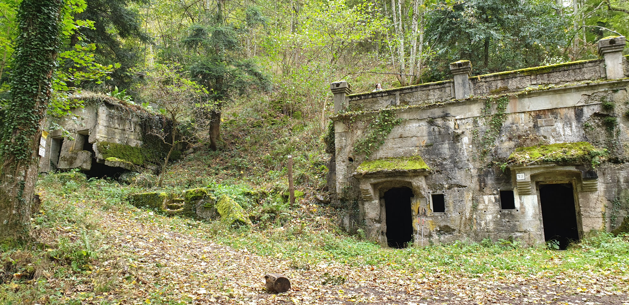 Vogesenfront (14-18) 1.Exkursion am Hartmannswillerkopf