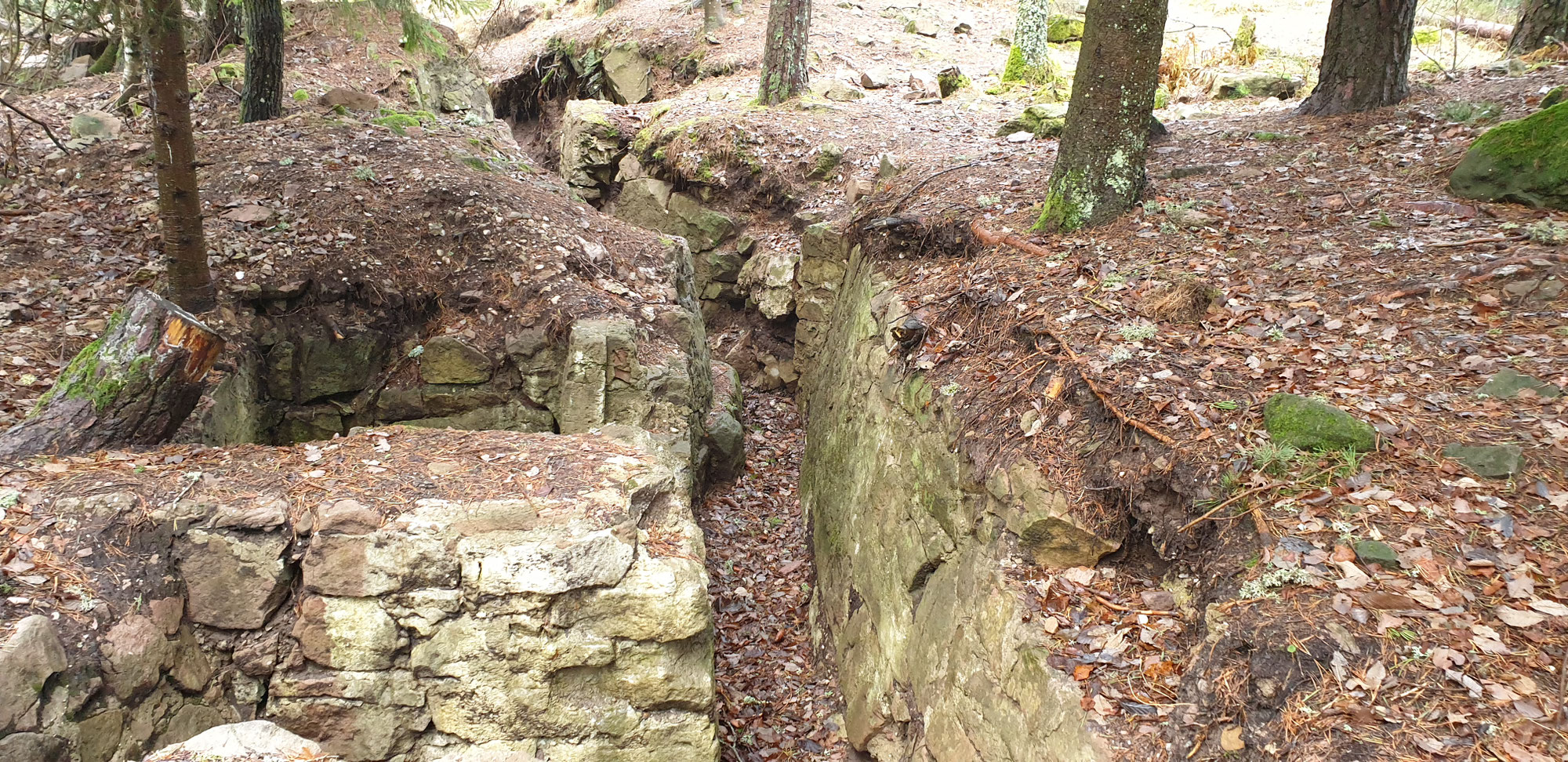Vogesenfront Exkursion Nr.2-  Lingekopf und Reichackerkopf