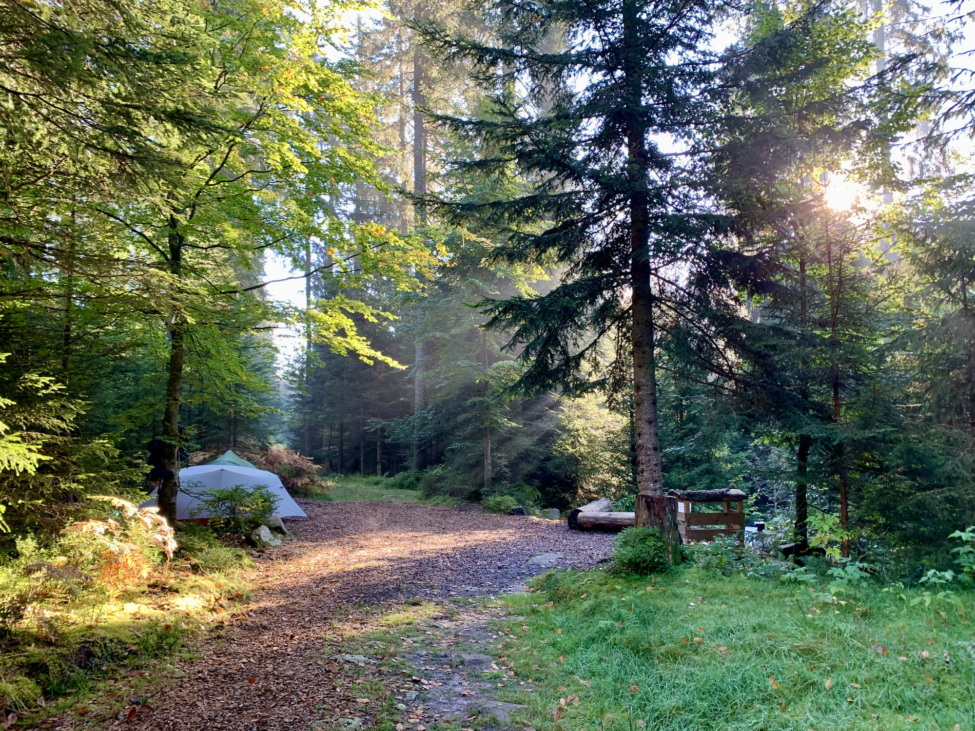 Trekking Camp Kniebis im Schwarzwald