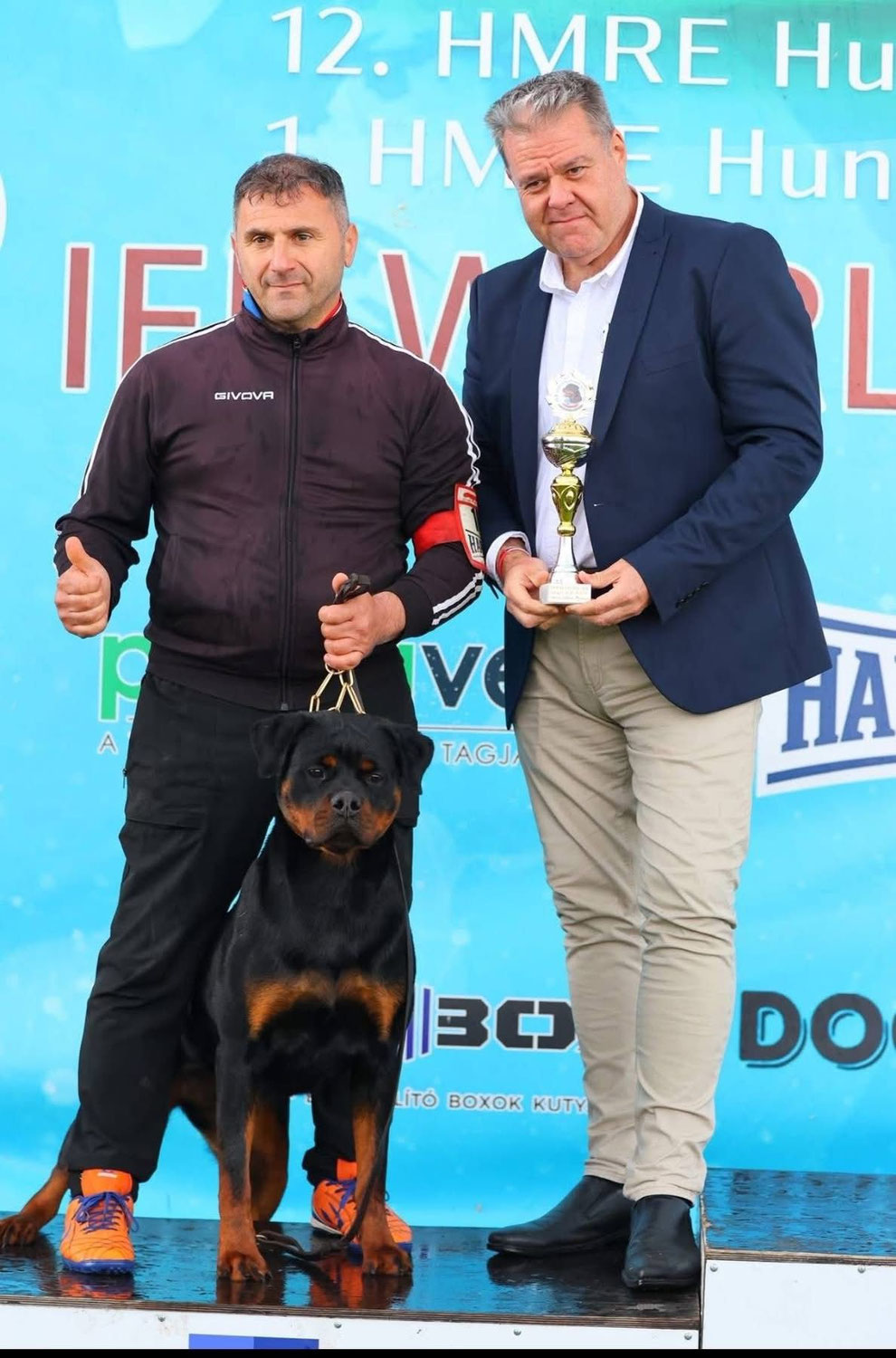 IFR WORLD SHOW 2026