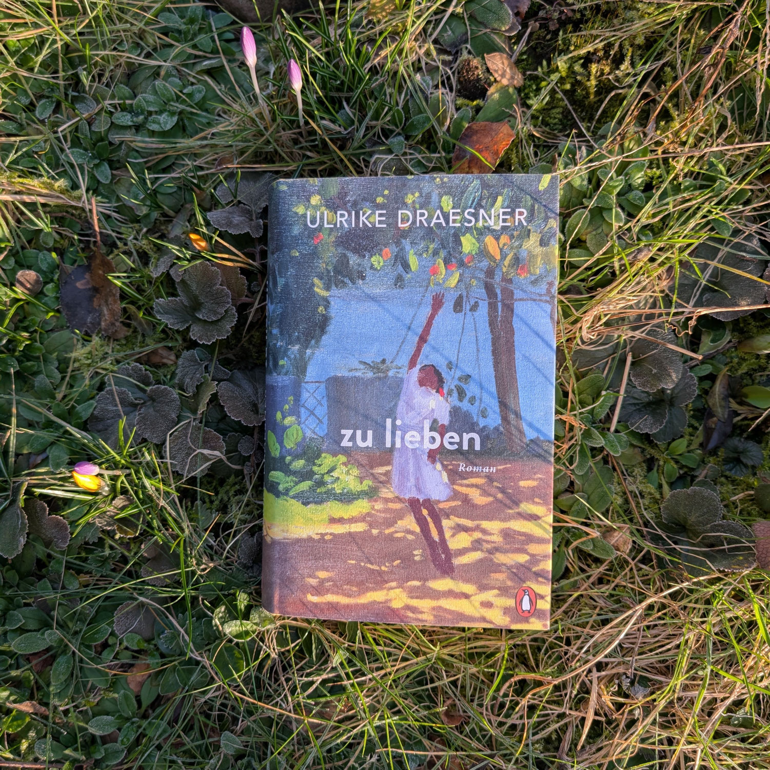 Ulrike Draesner "zu lieben"