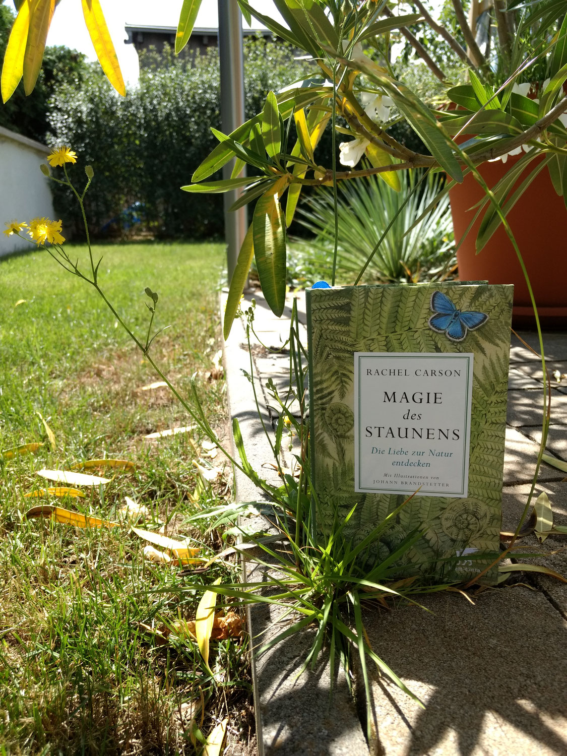 Rachel Carson "Magie des Staunens"
