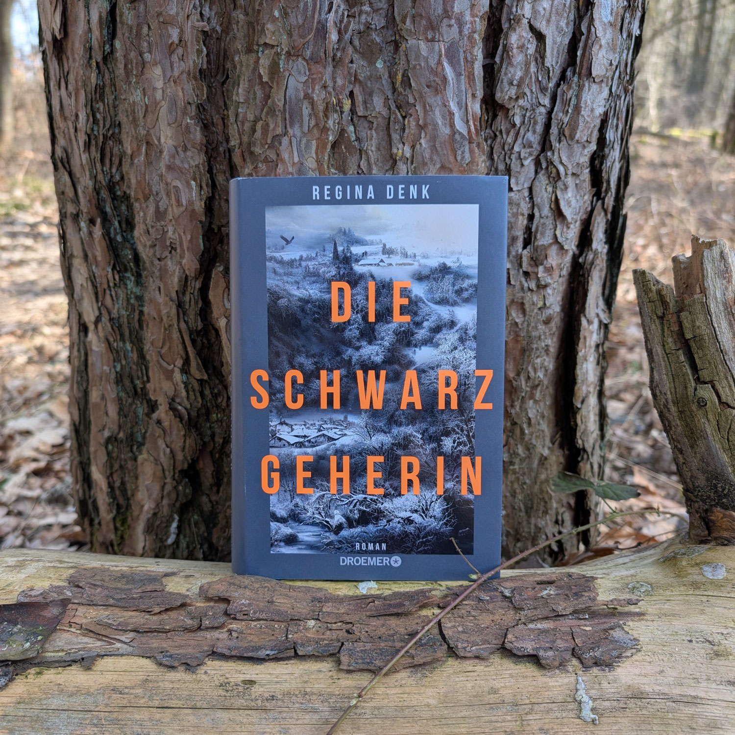 Regina Denk "Die Schwarzgeherin"
