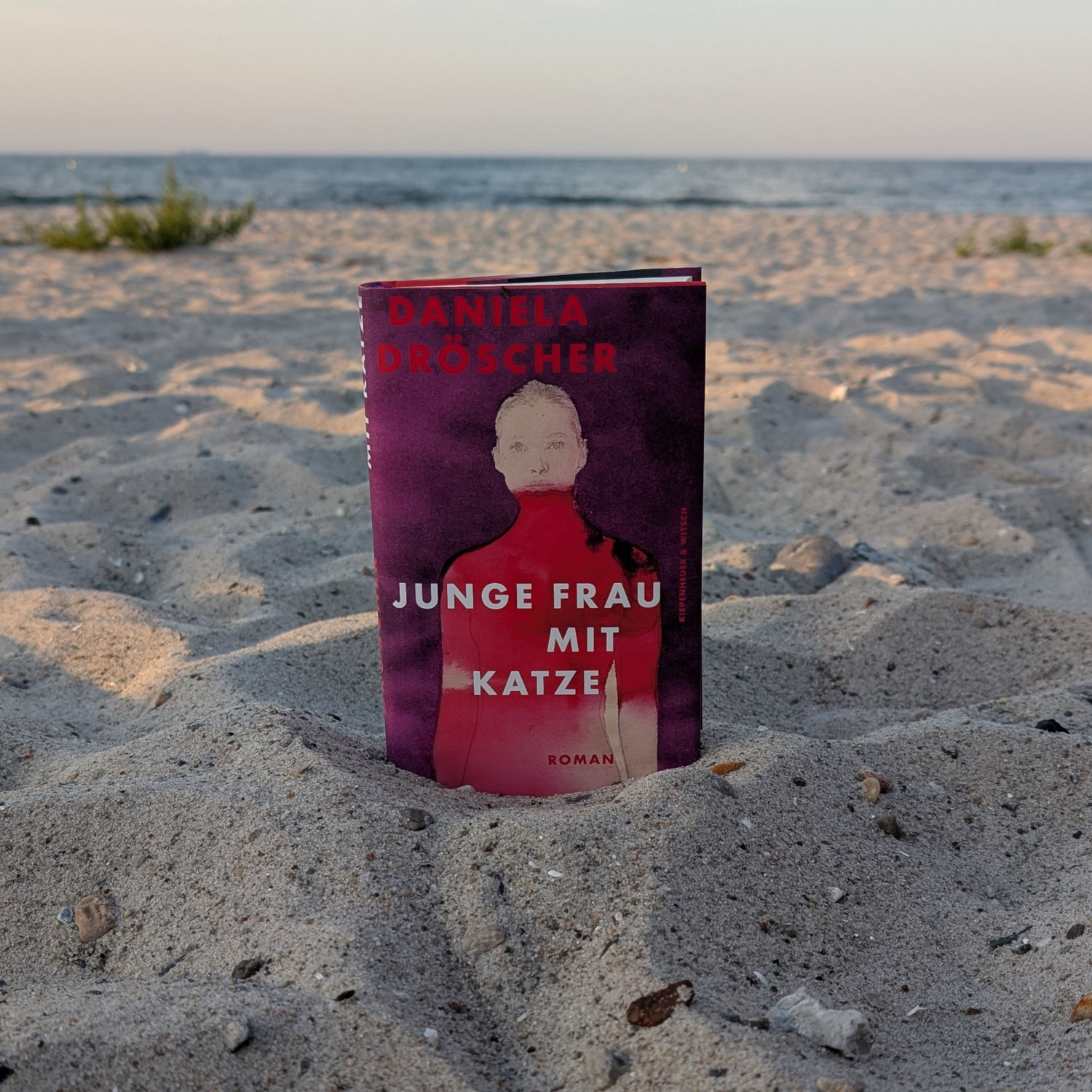 Daniela Dröscher "Junge Frau mit Katze"