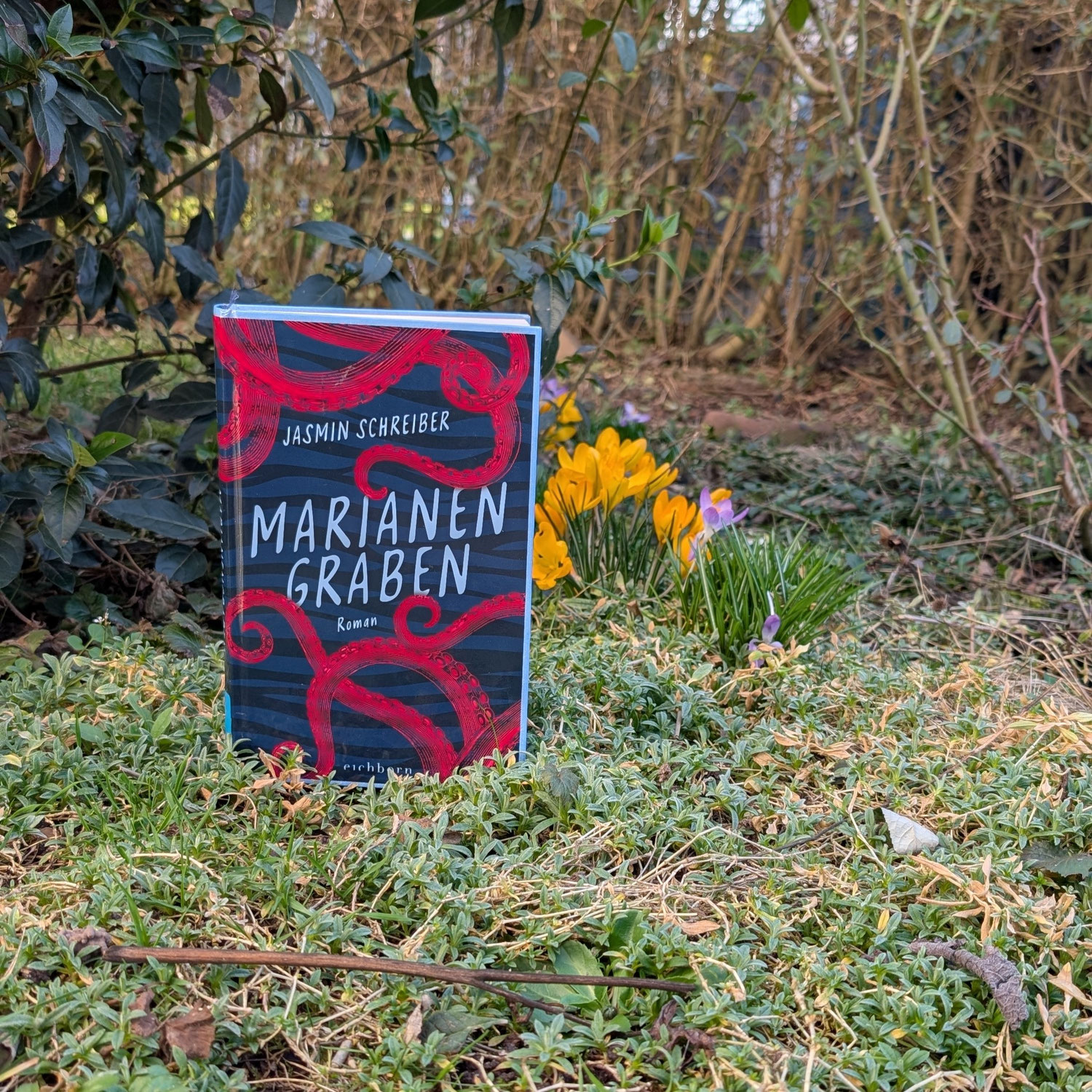 Jasmin Schreiber "Marianengraben"