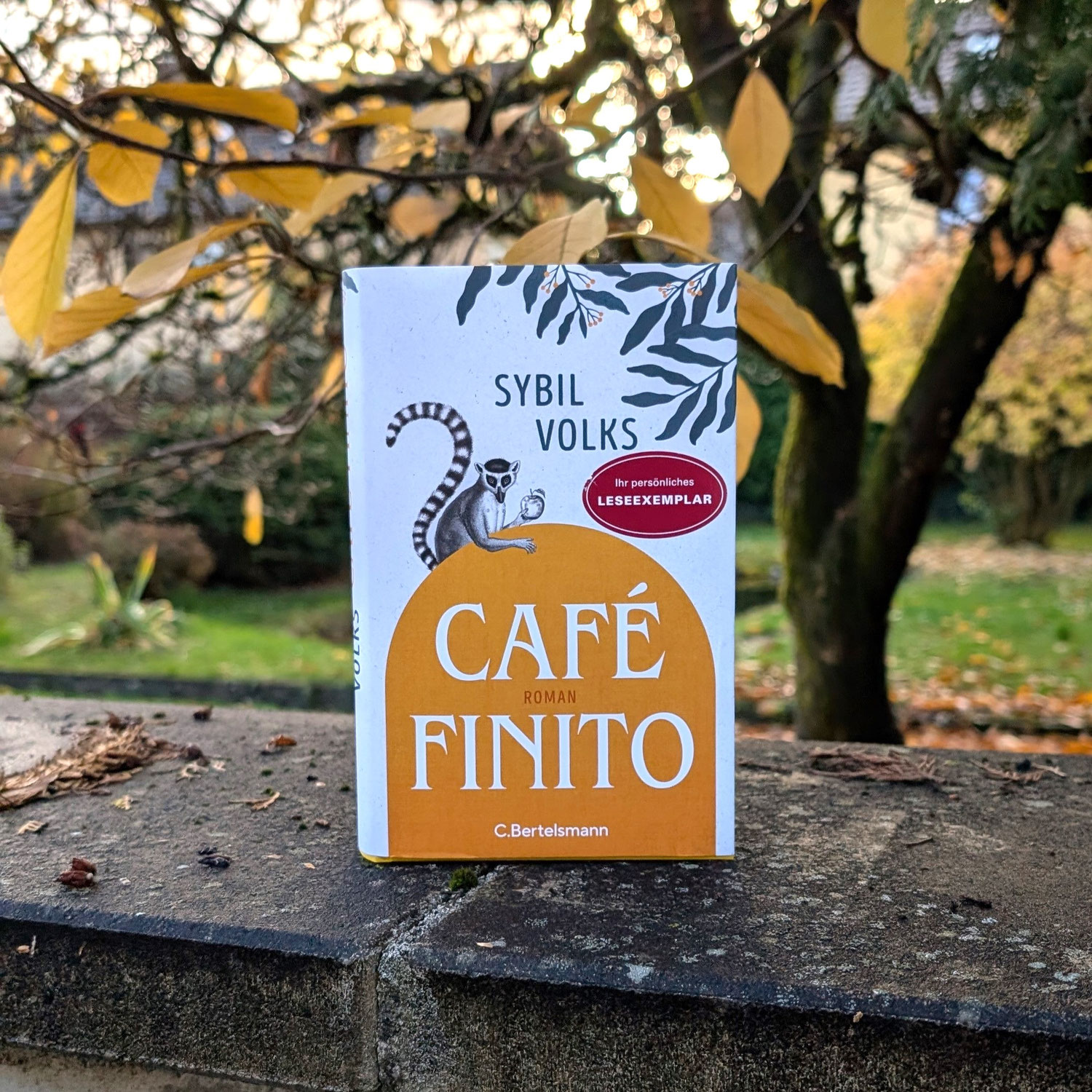 Sybil Volks "Café Finito"