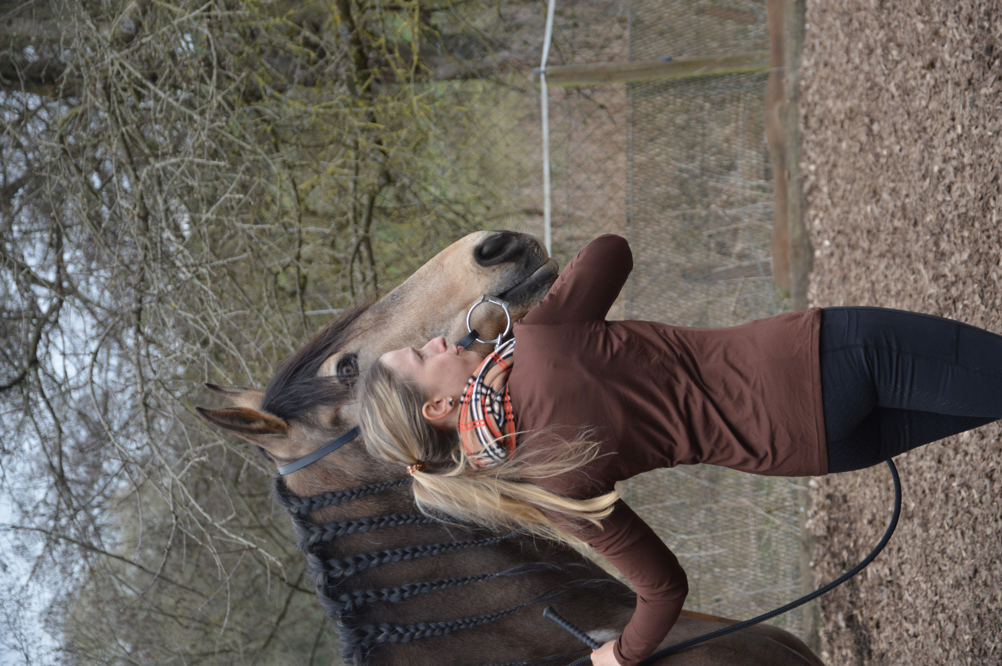 6 Gründe, warum sich dein Pferd beim Reiten einrollt – und warum das ein Warnsignal ist