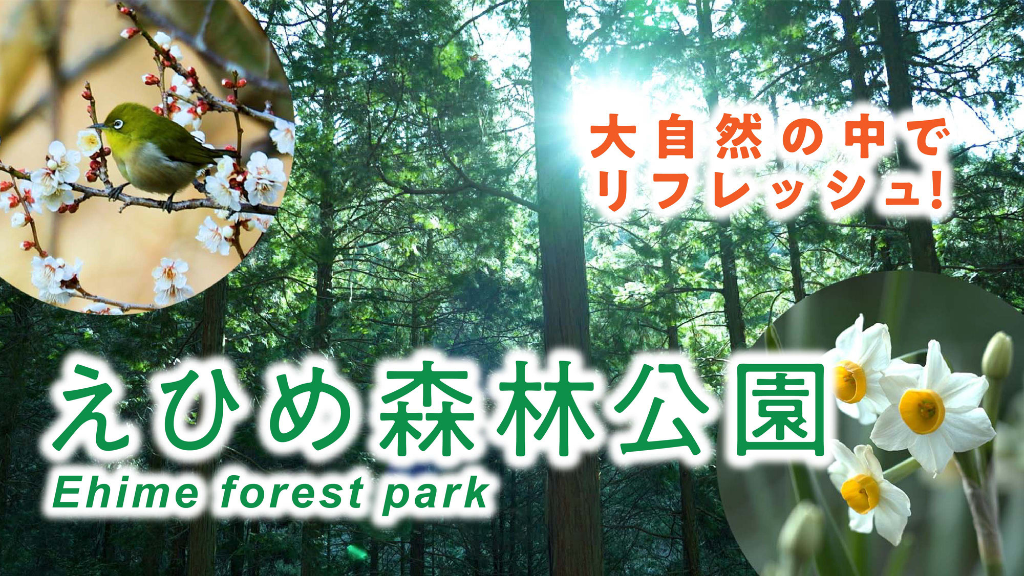 えひめ森林公園PR動画が完成