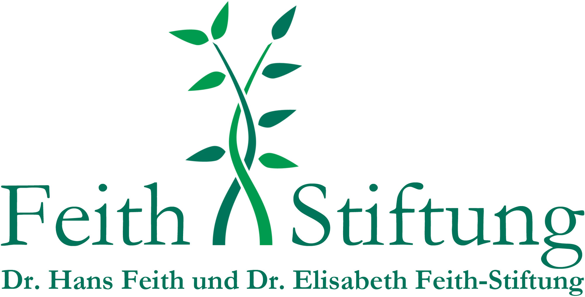Großzügige Spende in Höhe von 1.500,- € von der Feith Stiftung
