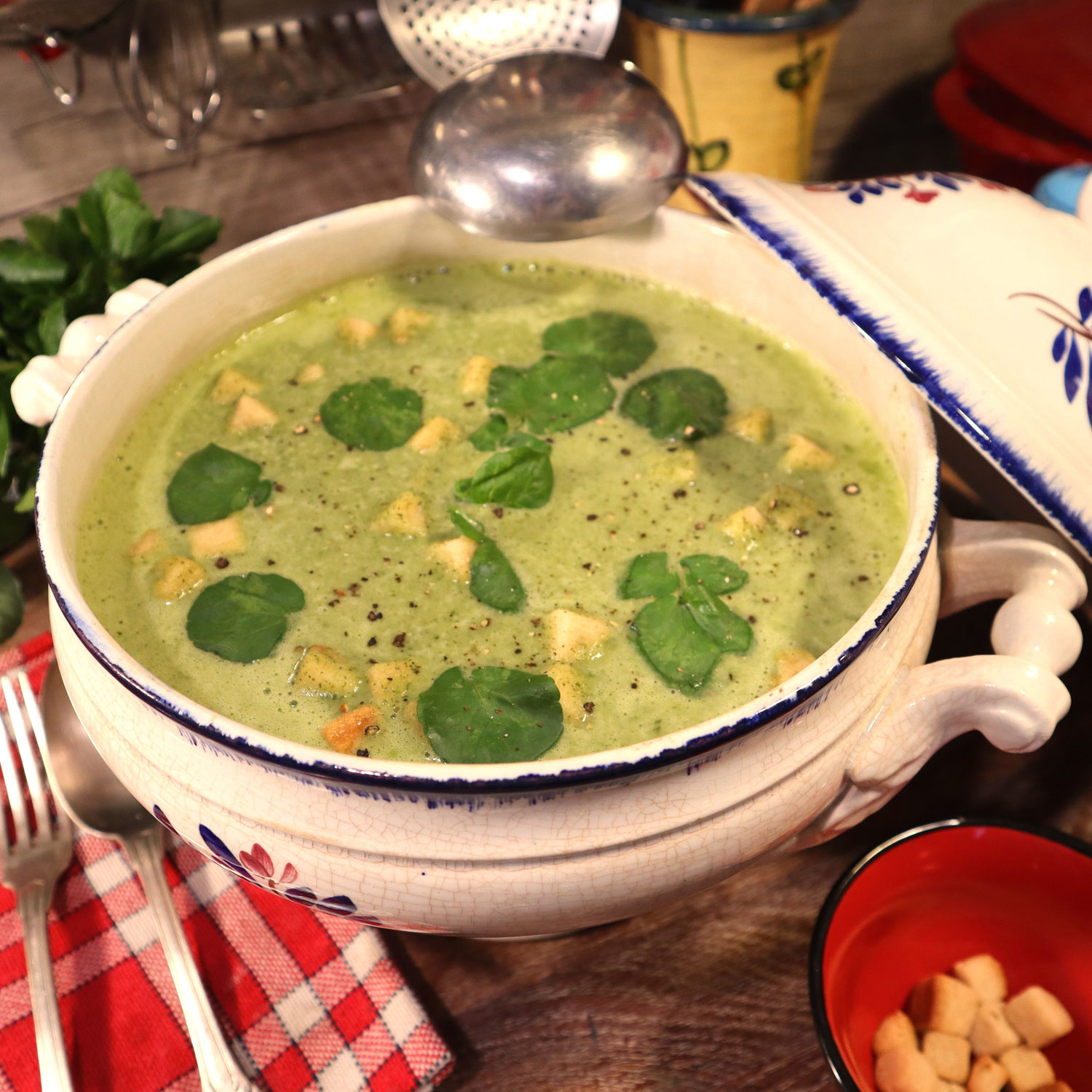 POTAGE CRESSONNIÈRE à la crème - Le Cresson c'est très bon !