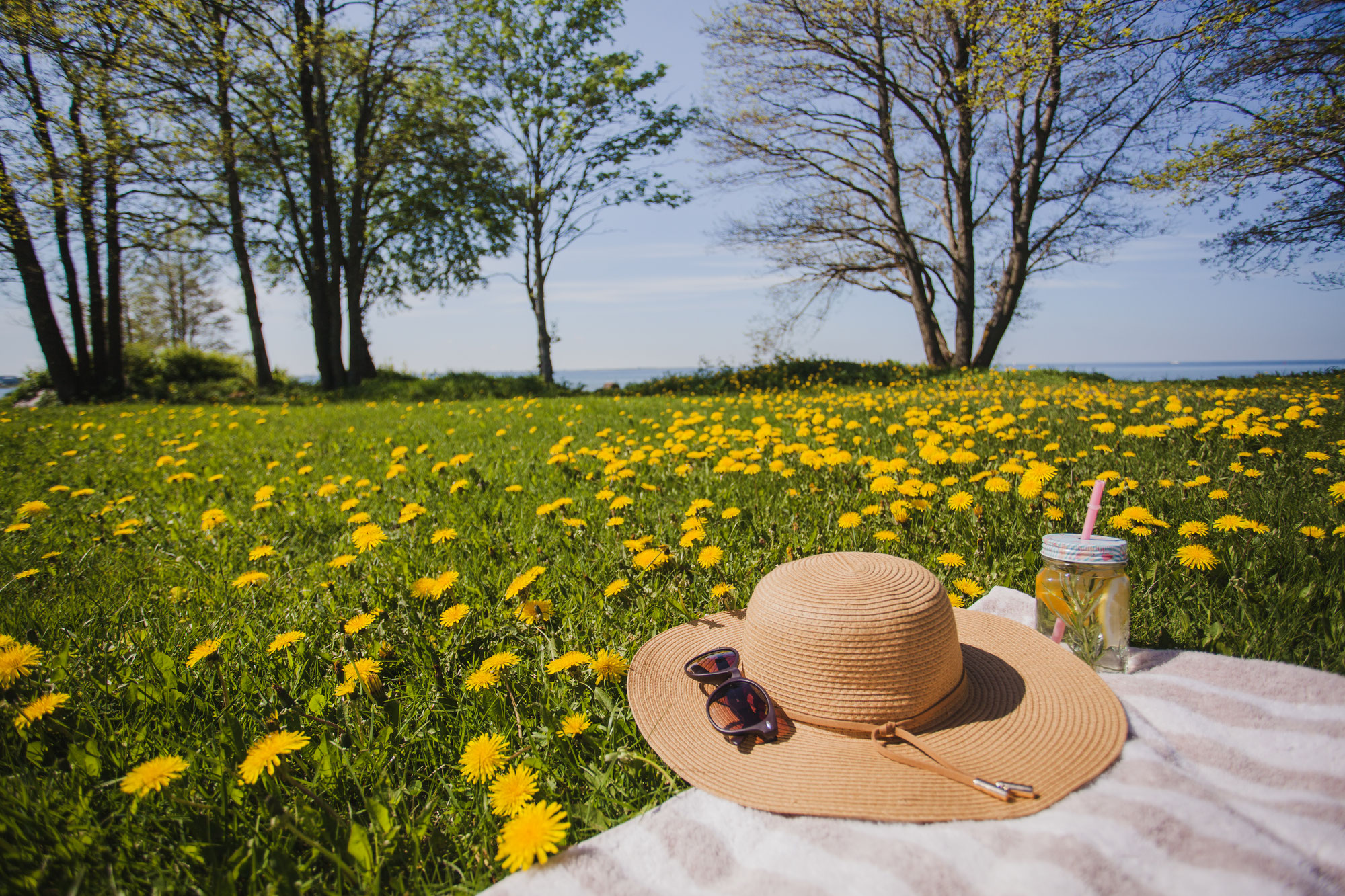 Entdecke die Magie des Parkhotel Schillerhain: Ein Kurzurlaub mit besonderem Flair