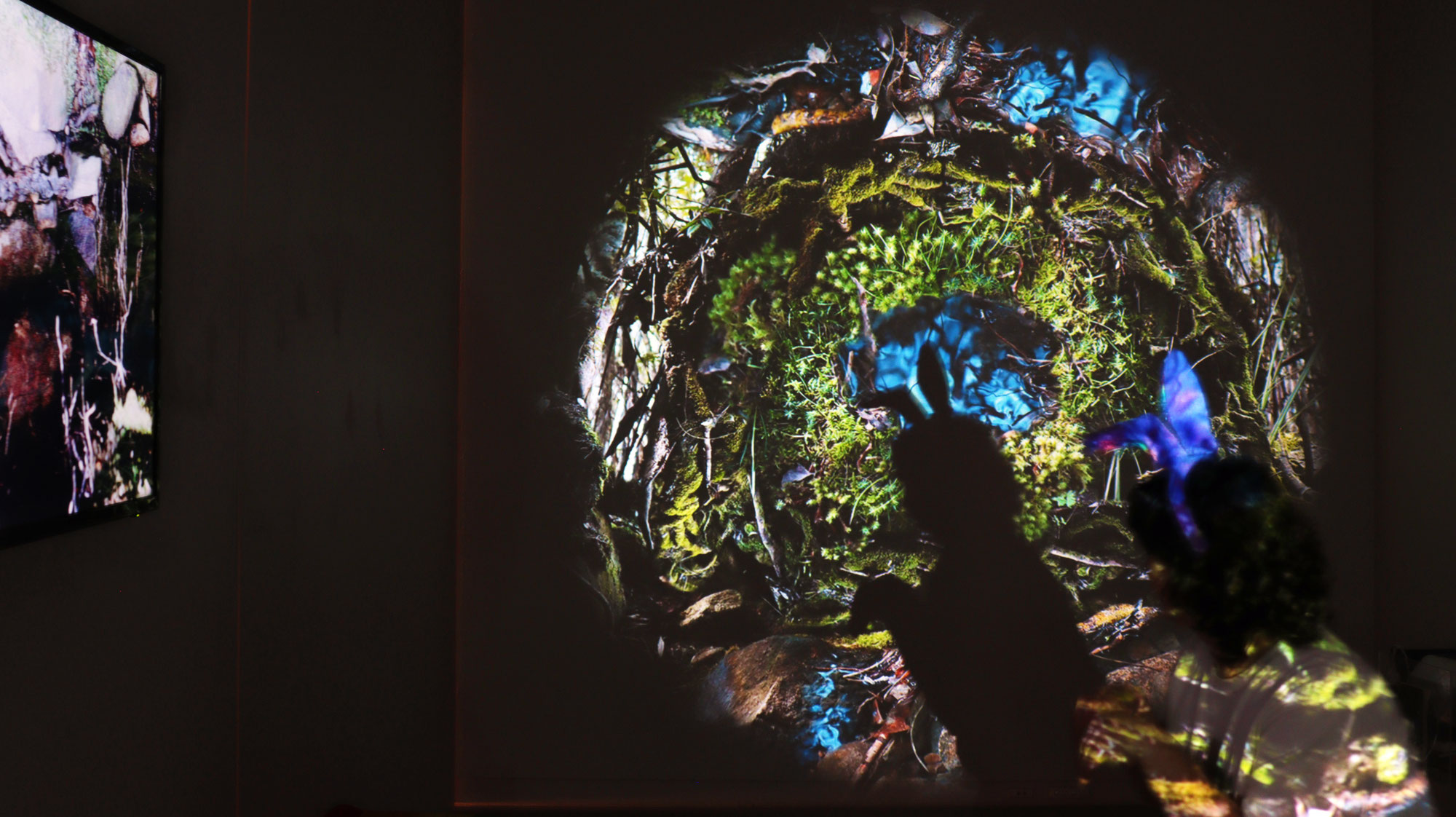 Decolonising art rituals, harmony and evolution @ the CUSP