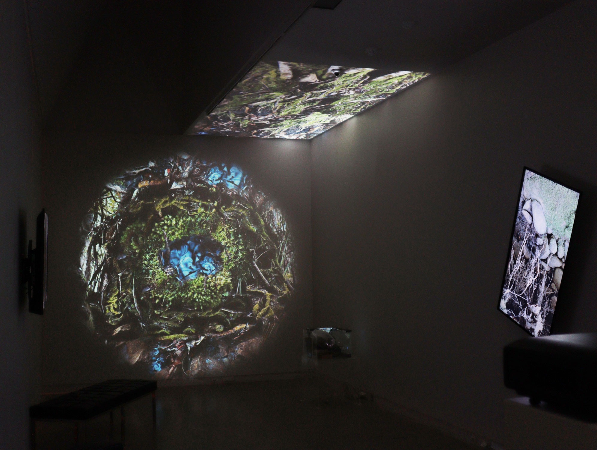 CUSP exhibition
