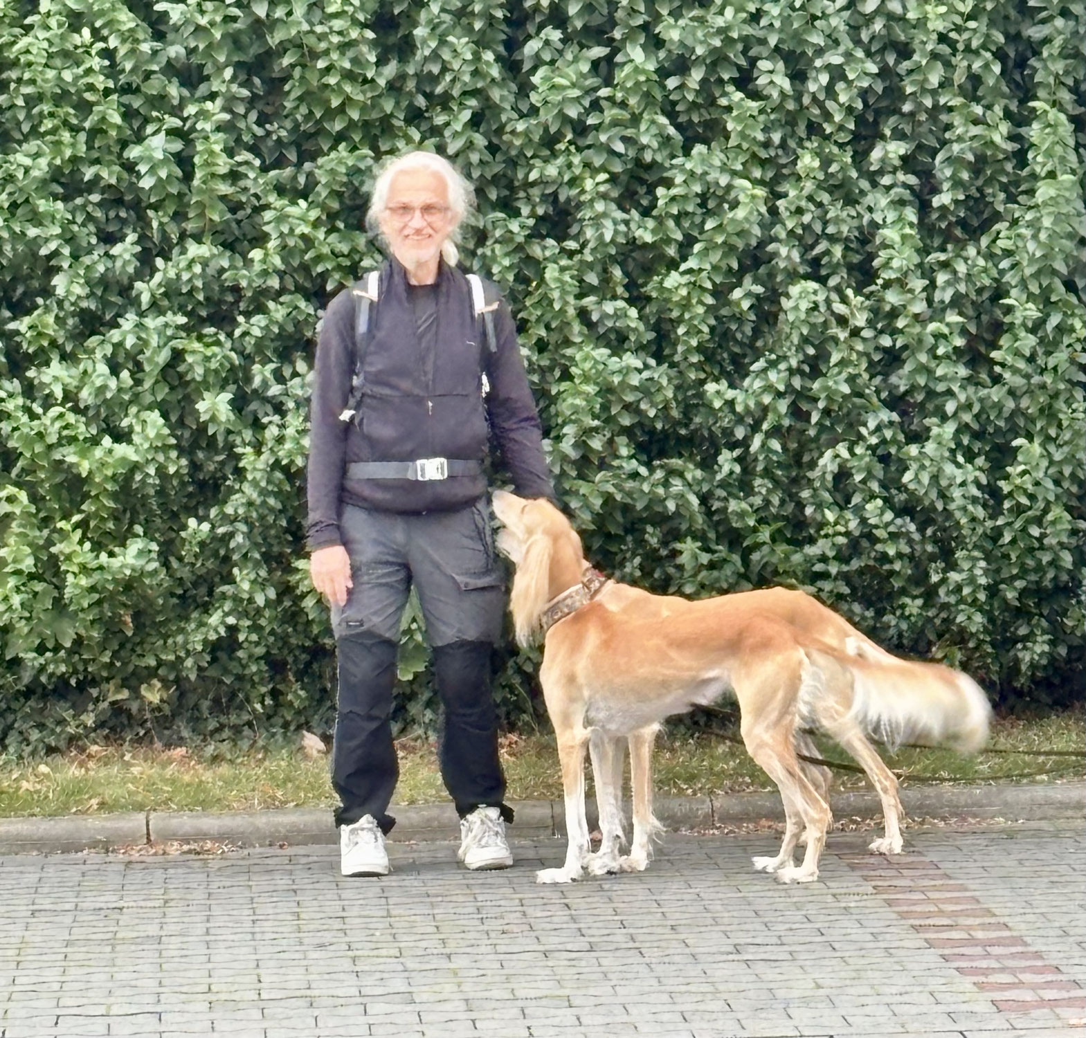 " Unsere Salukis: Mehr als nur Hunde - Eine Gemeinschaft von Herzen"