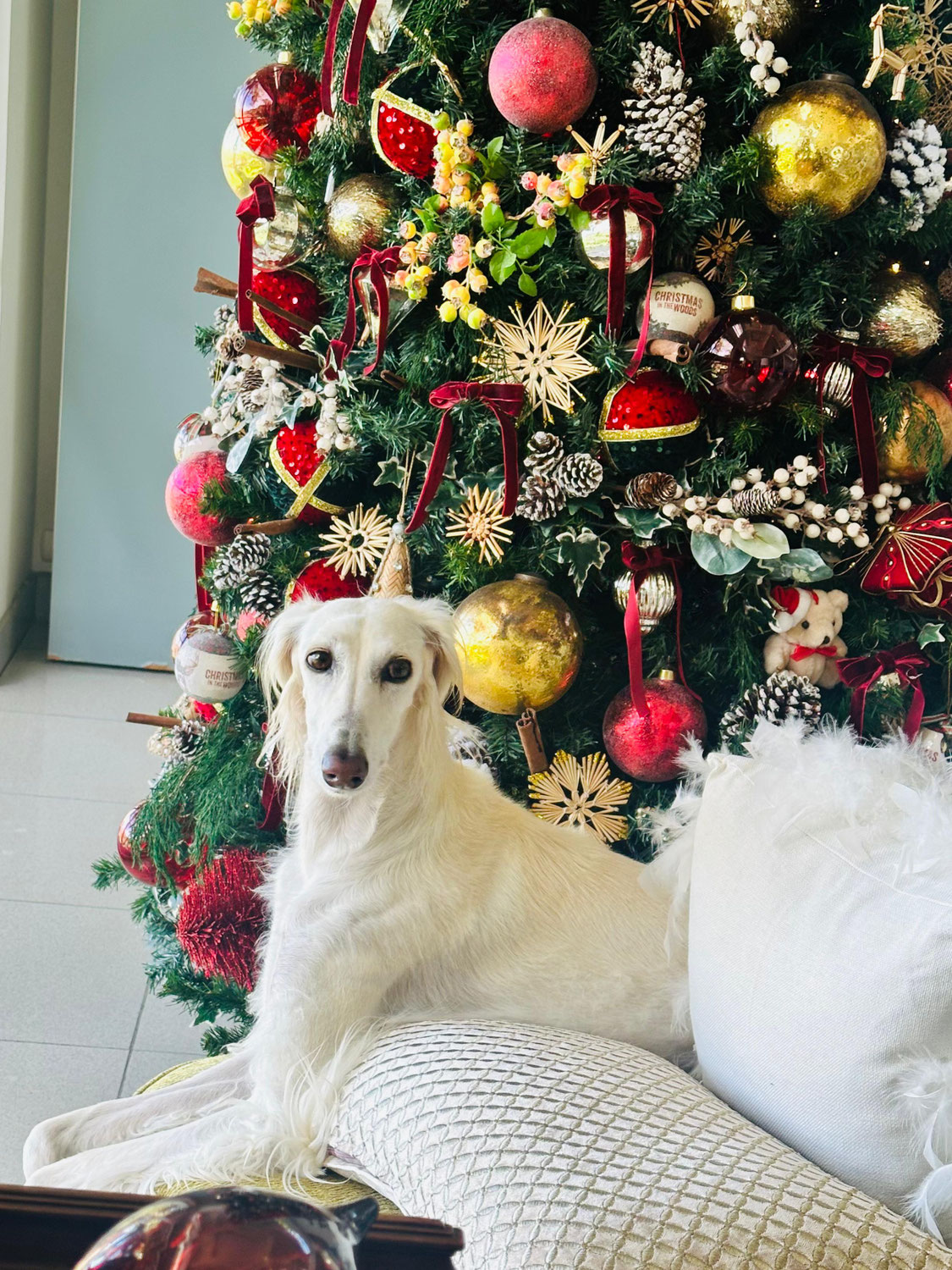 Adventskalender Türchen 24 "Enya"
