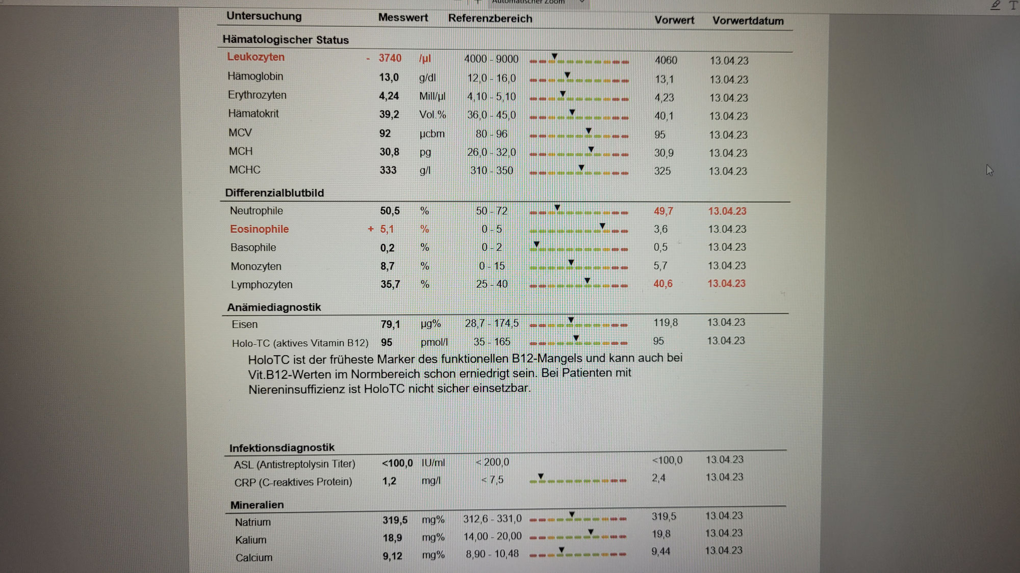 Ganzheitliche Blutlabordiagnostik